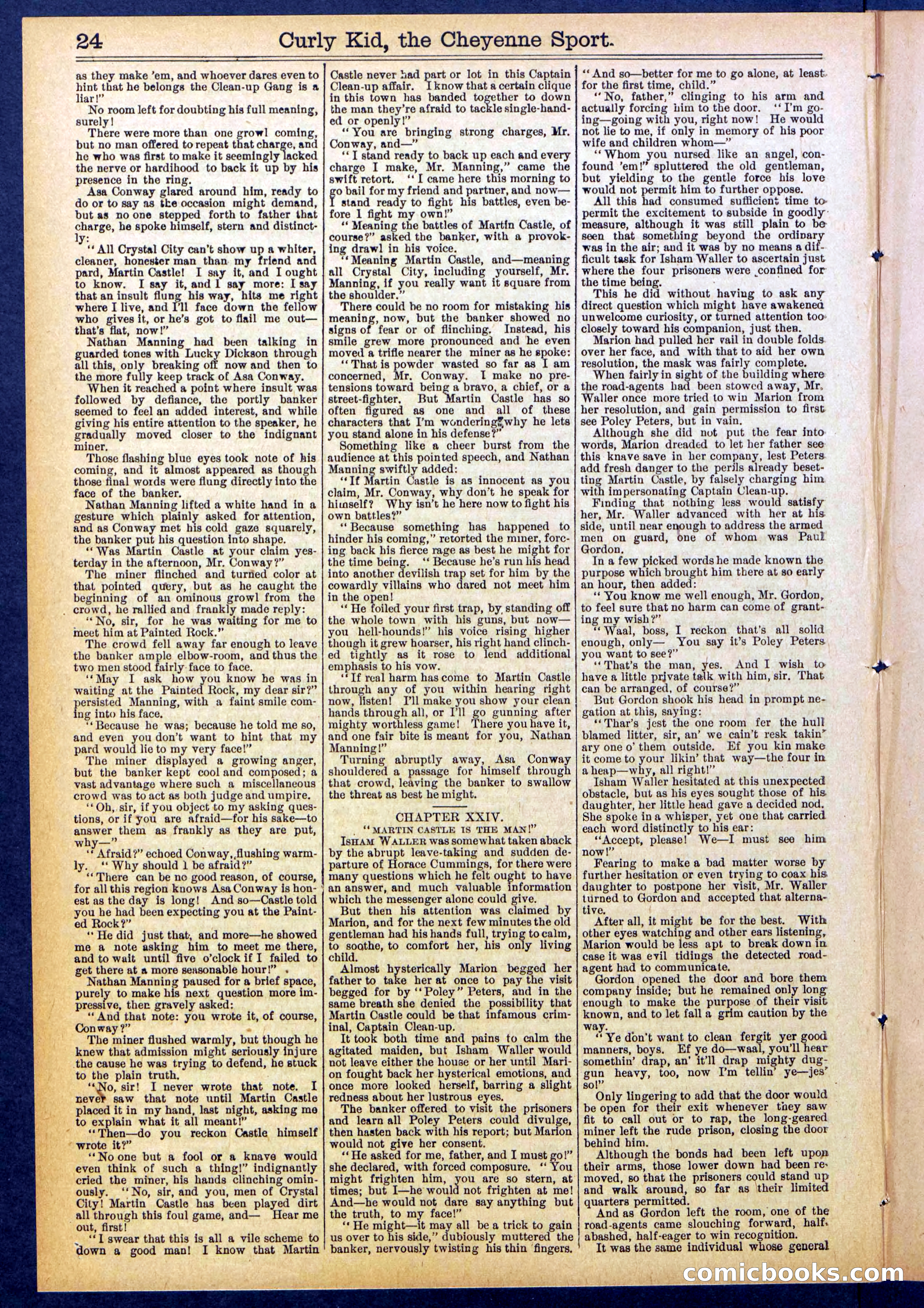 Beadle's New York Dime Library, No. 837 — page 24 of 32