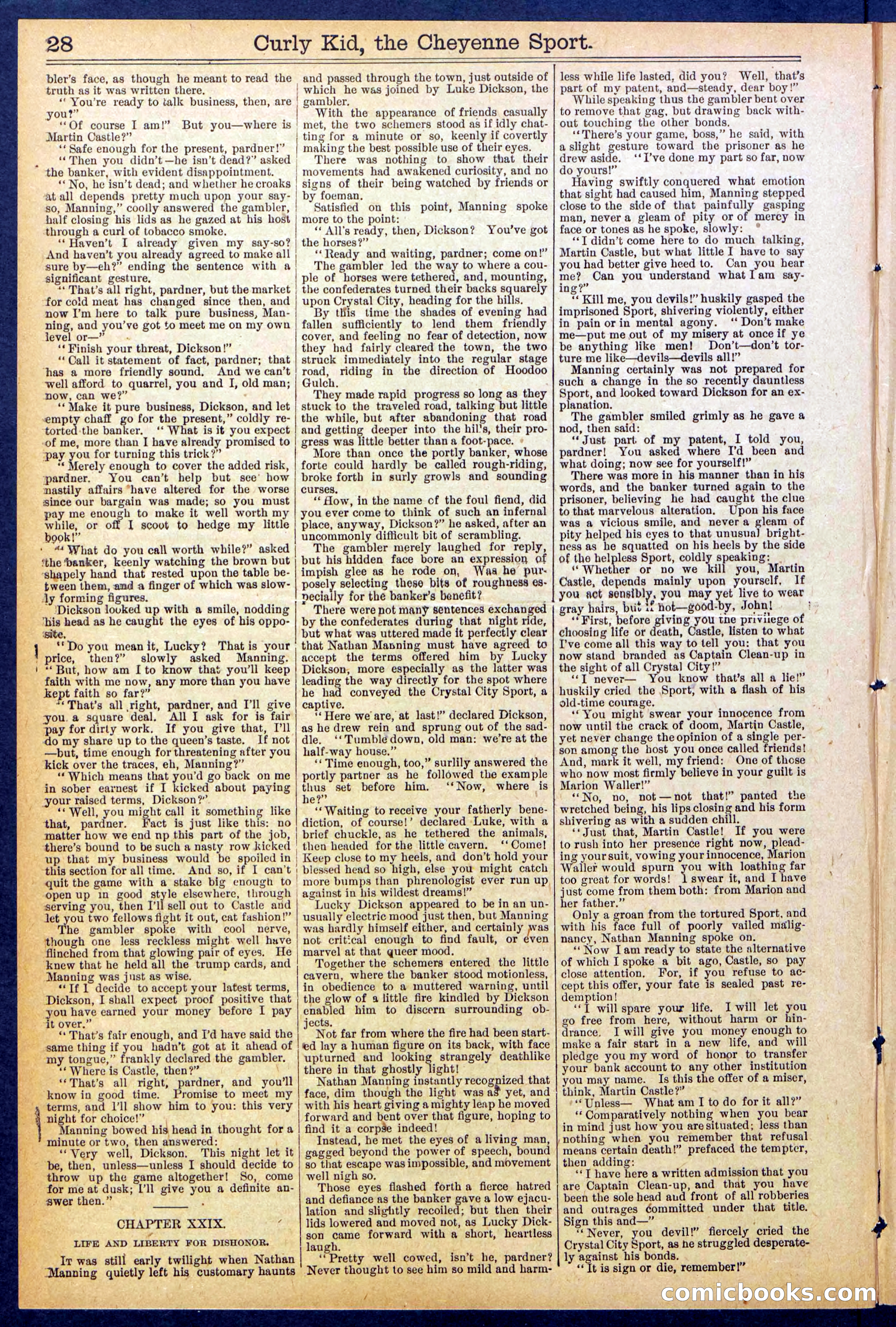 Beadle's New York Dime Library, No. 837 — page 28 of 32