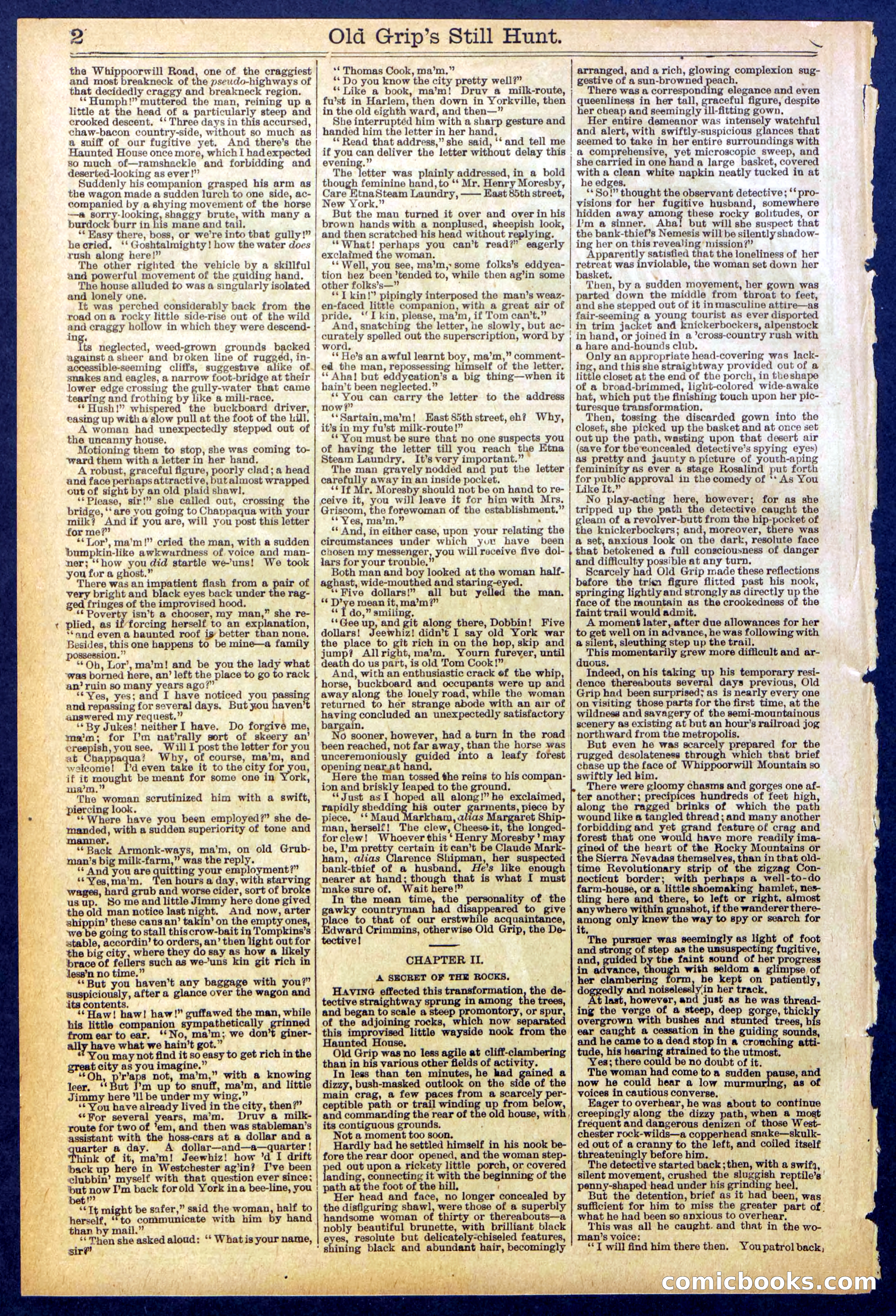 Beadle's New York Dime Library No. 838 — page 2 of 32