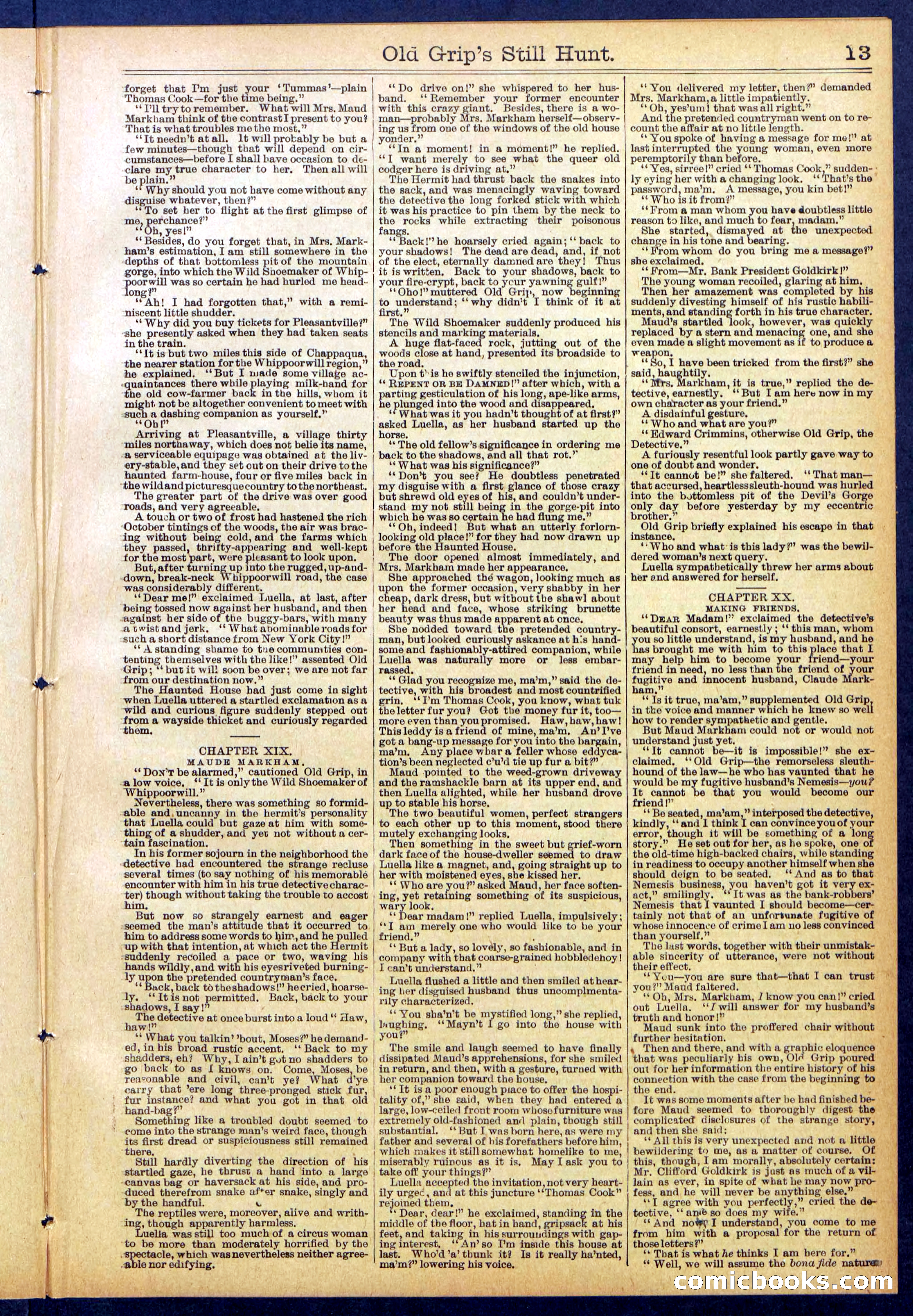 Beadle's New York Dime Library No. 838 — page 13 of 32