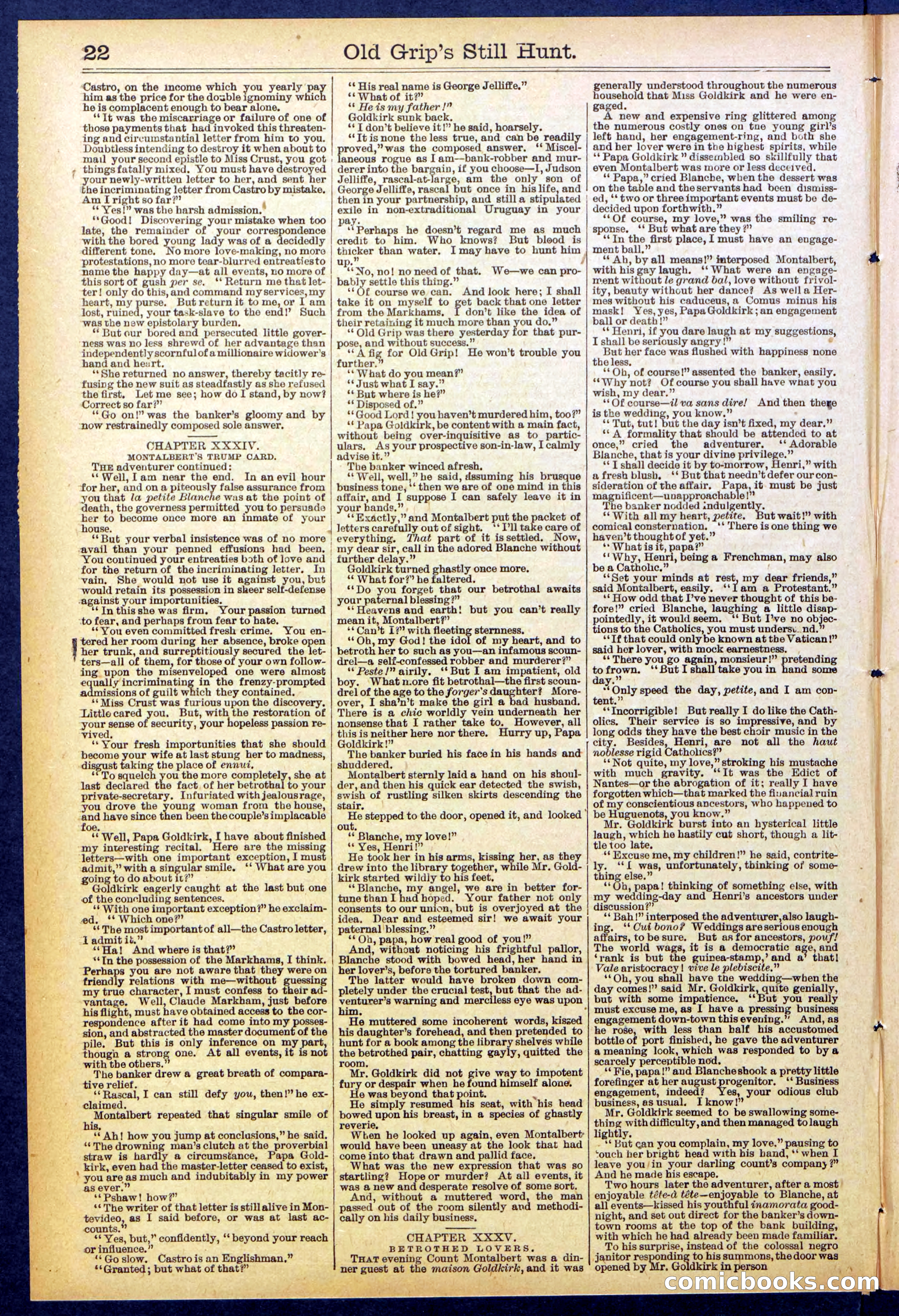 Beadle's New York Dime Library No. 838 — page 22 of 32