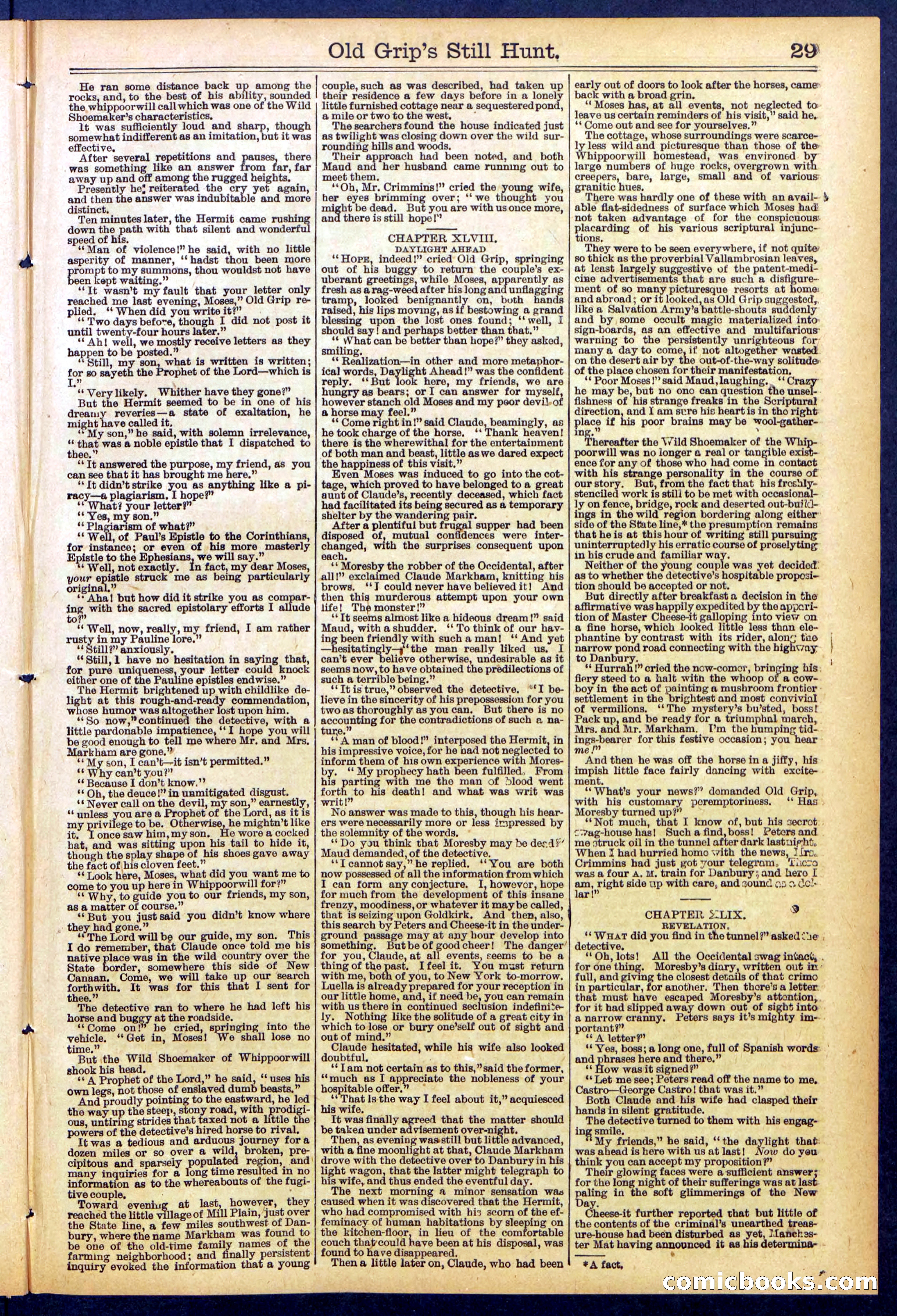 Beadle's New York Dime Library No. 838 — page 29 of 32