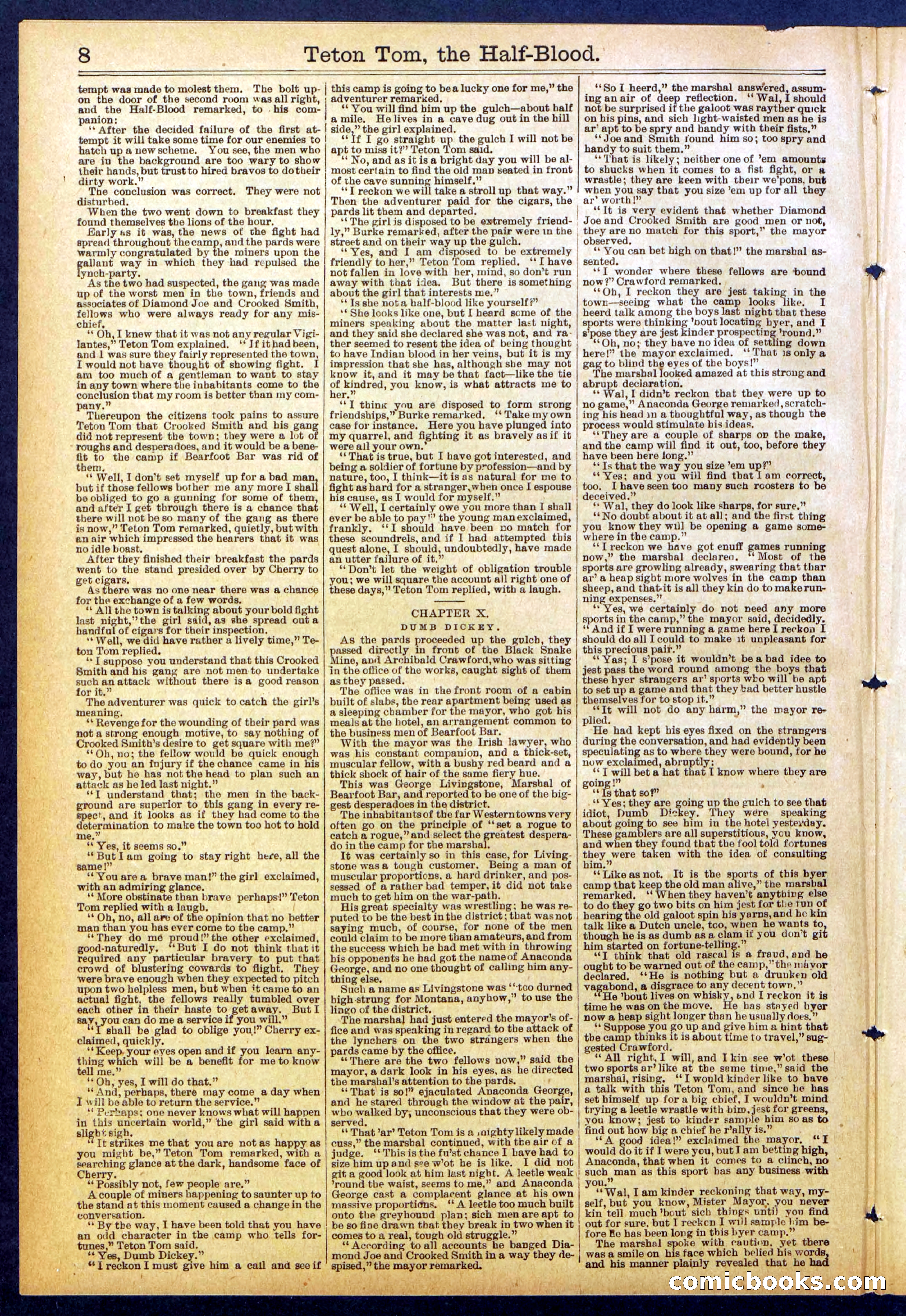 Beadle's New York Dime Library No. 842 — page 8 of 32