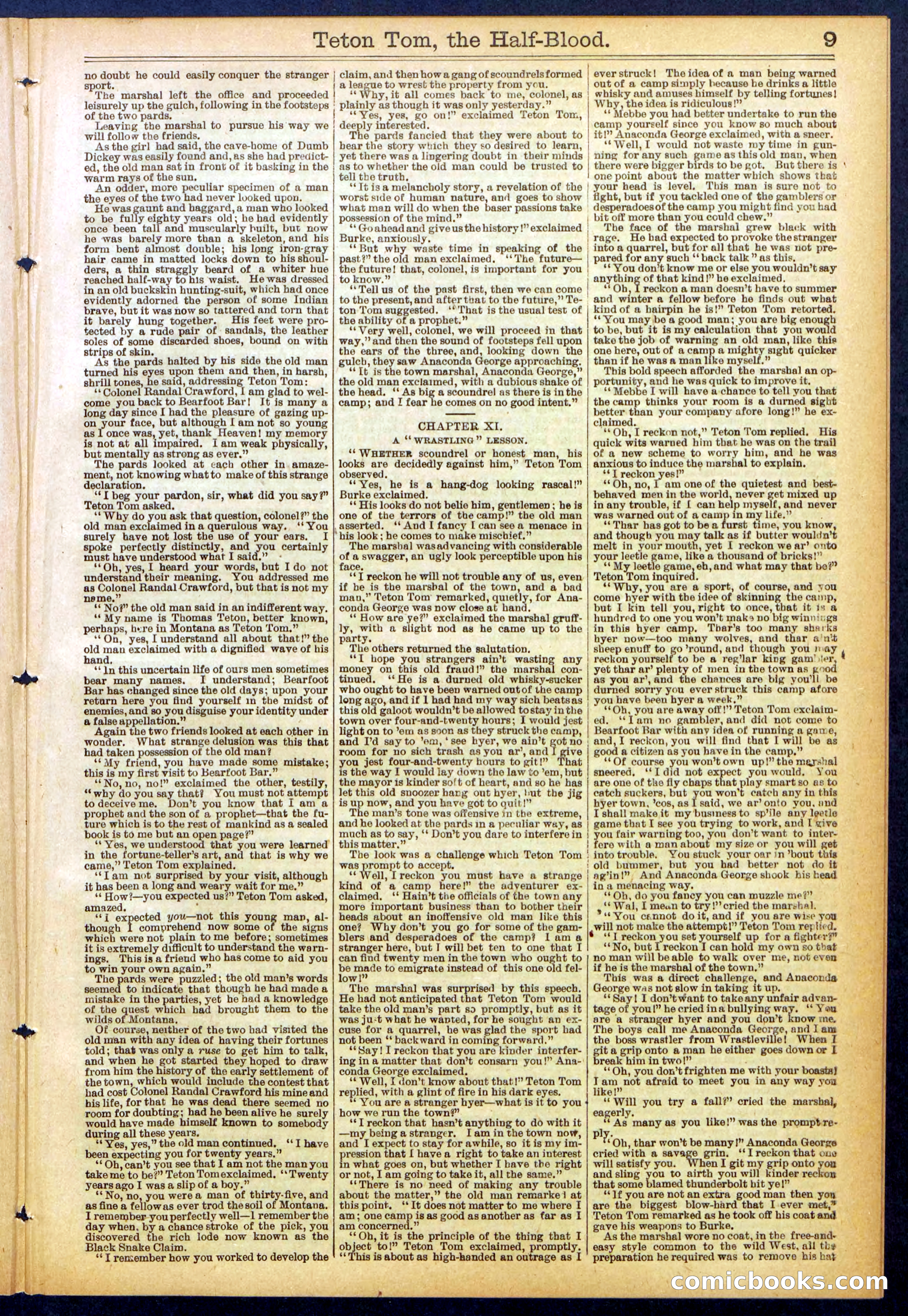 Beadle's New York Dime Library No. 842 — page 9 of 32