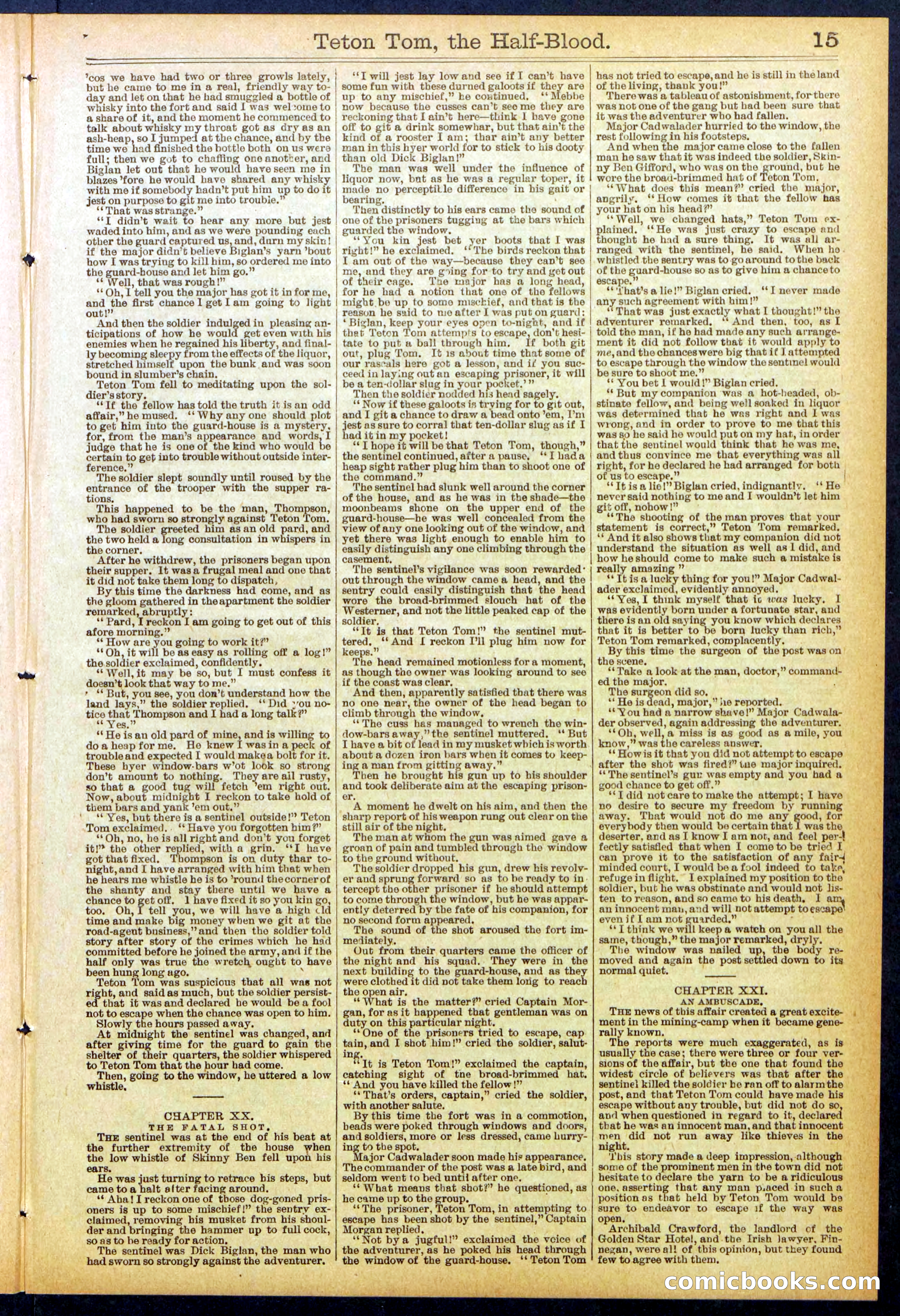 Beadle's New York Dime Library No. 842 — page 15 of 32