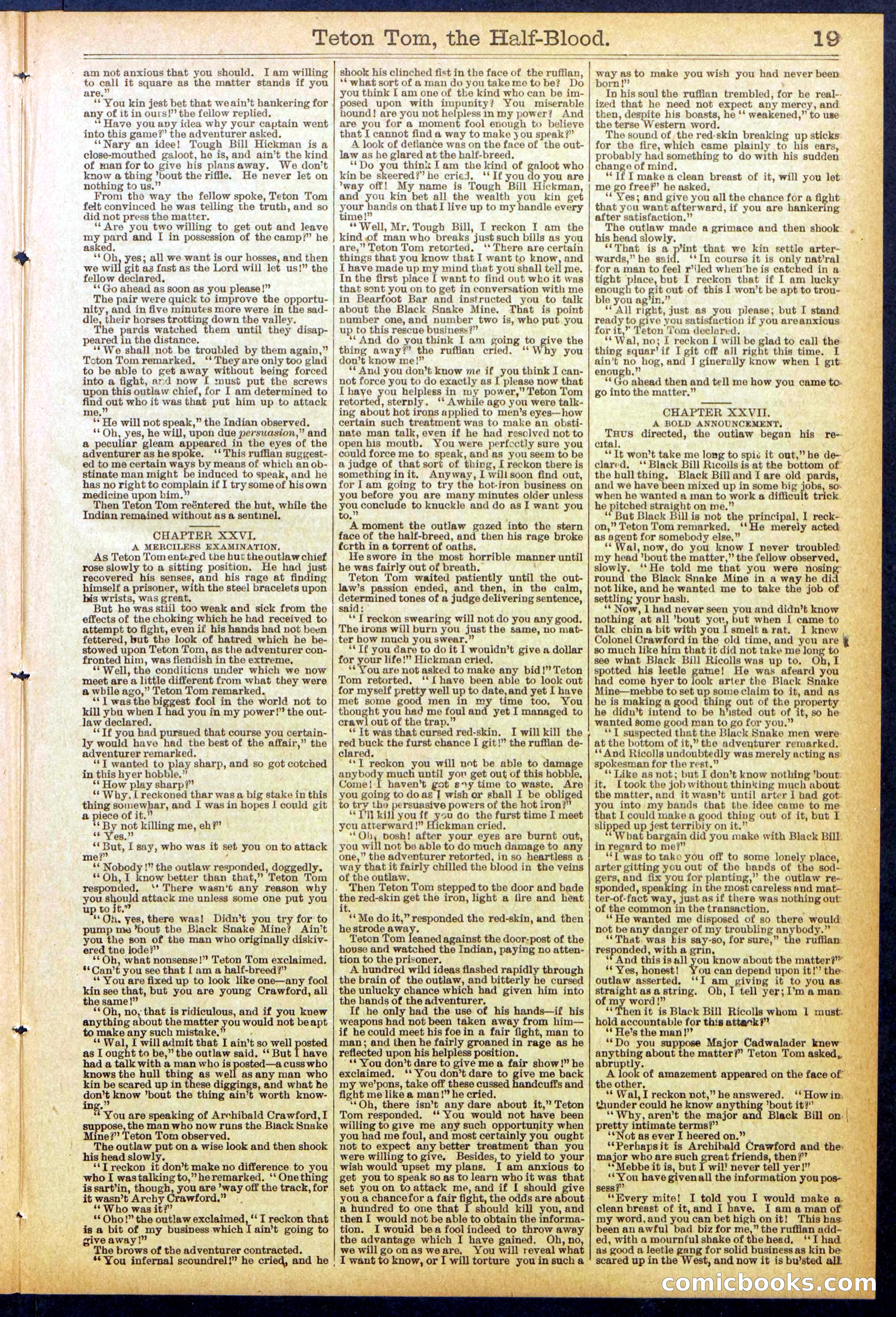 Beadle's New York Dime Library No. 842 — page 19 of 32