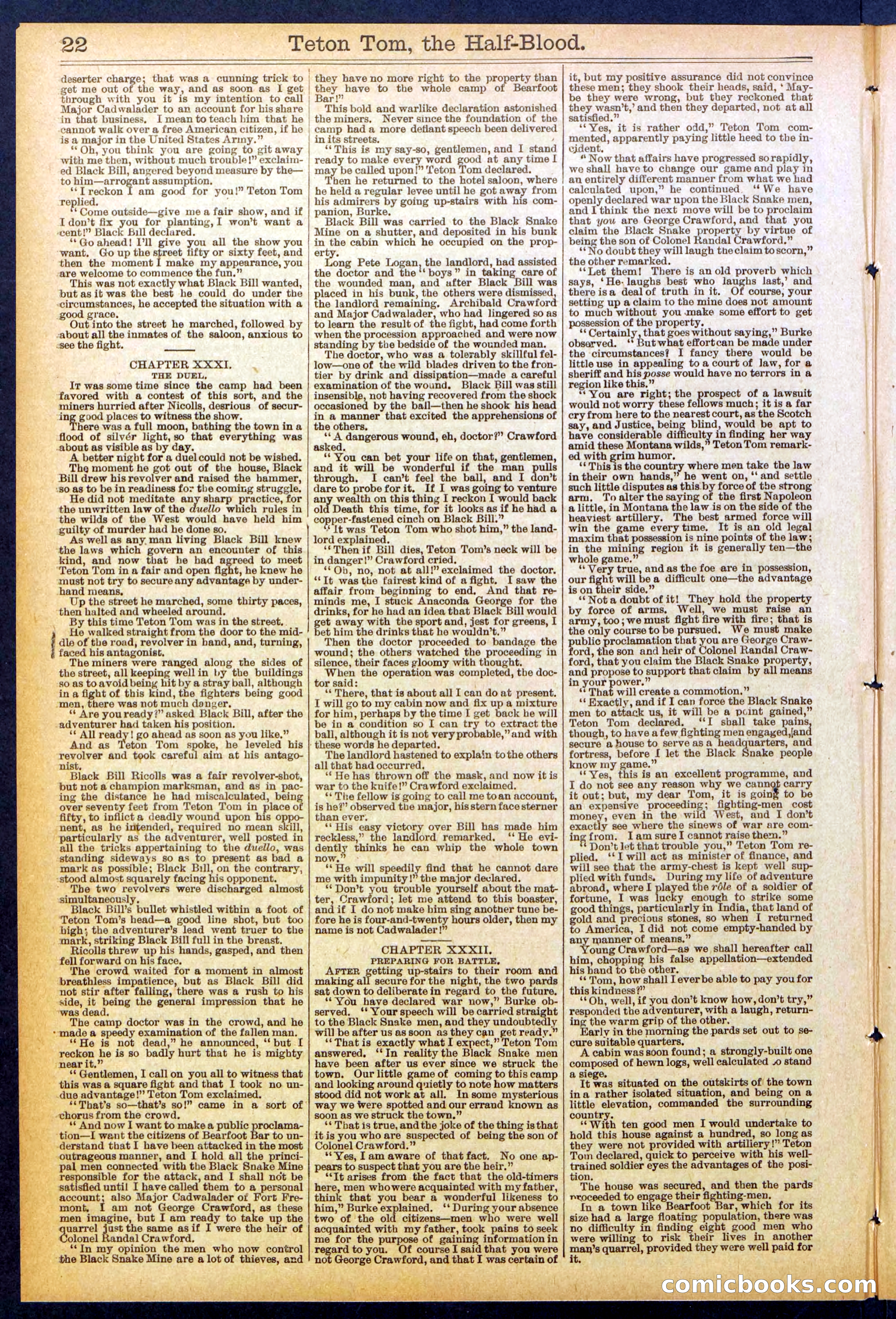 Beadle's New York Dime Library No. 842 — page 22 of 32