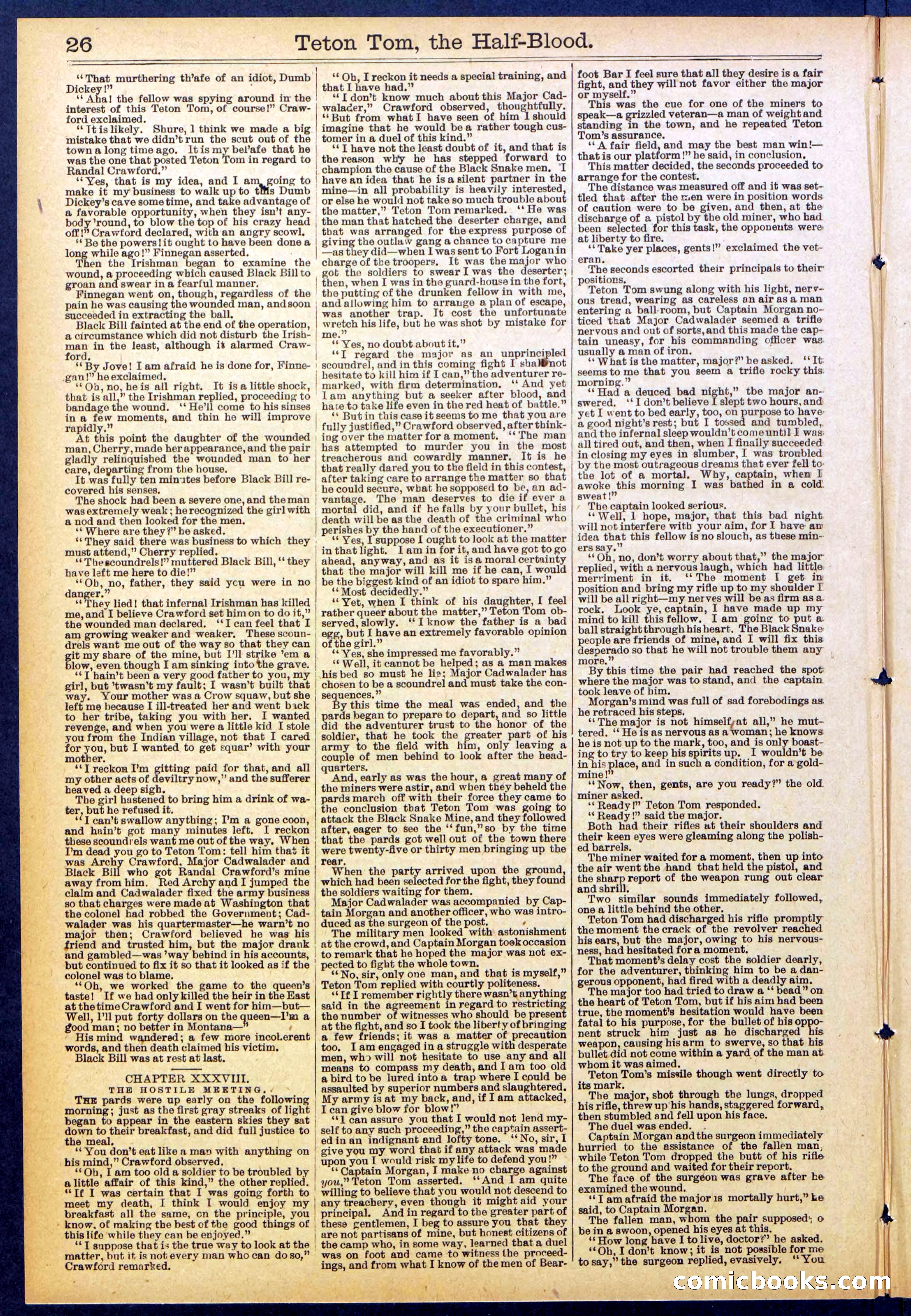Beadle's New York Dime Library No. 842 — page 26 of 32