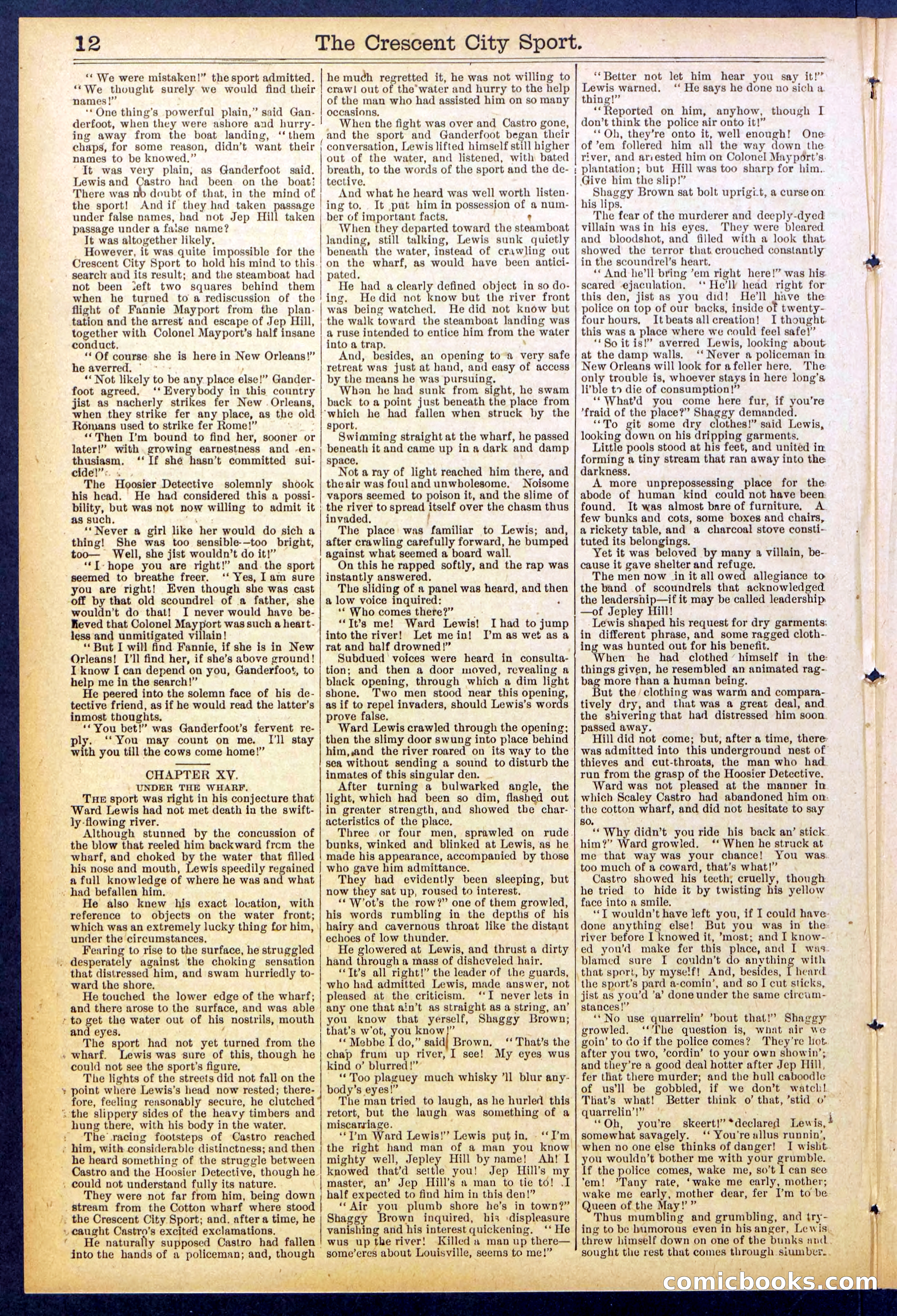 Beadle's New York Dime Library No. 843 — page 12 of 32