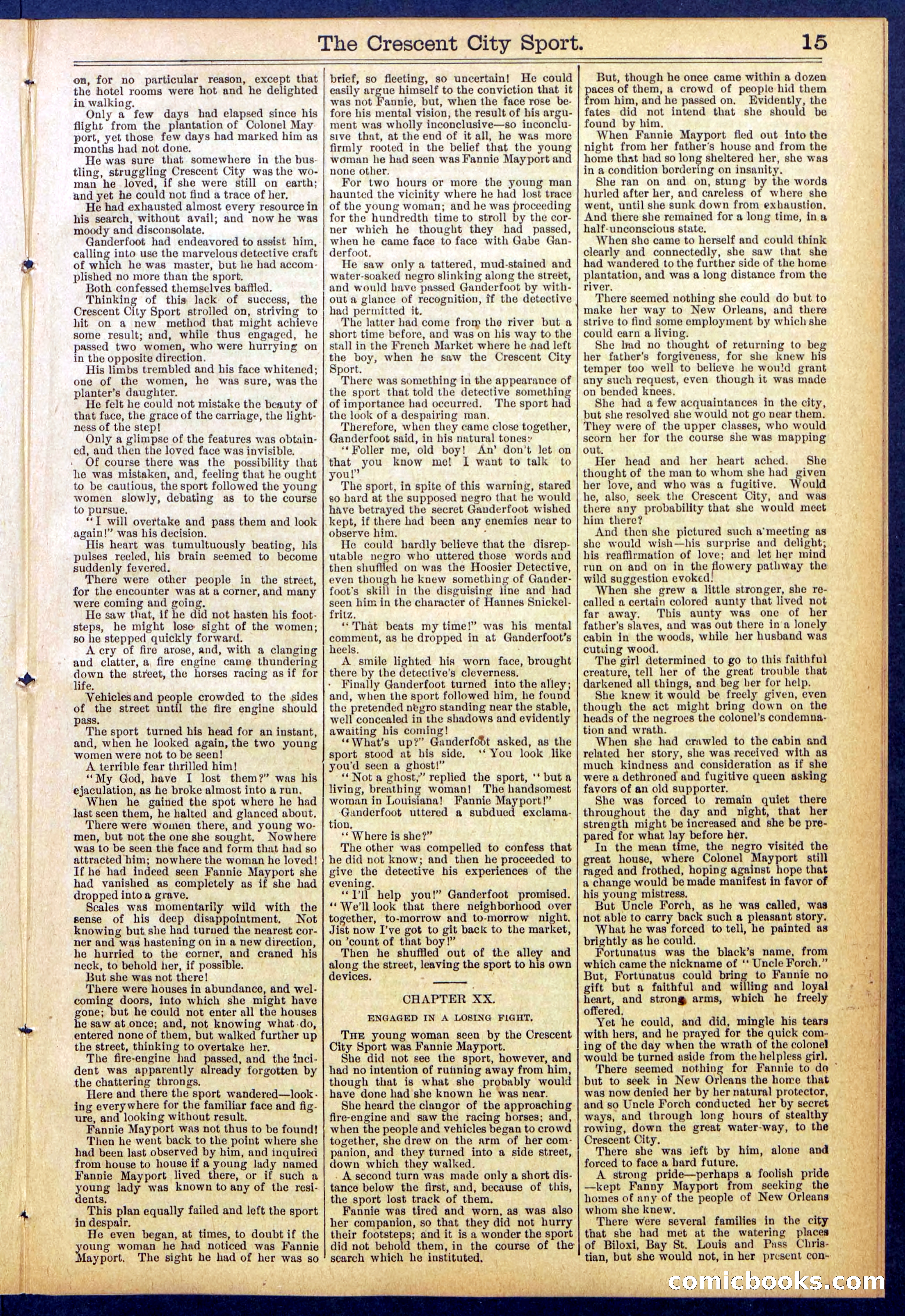 Beadle's New York Dime Library No. 843 — page 15 of 32