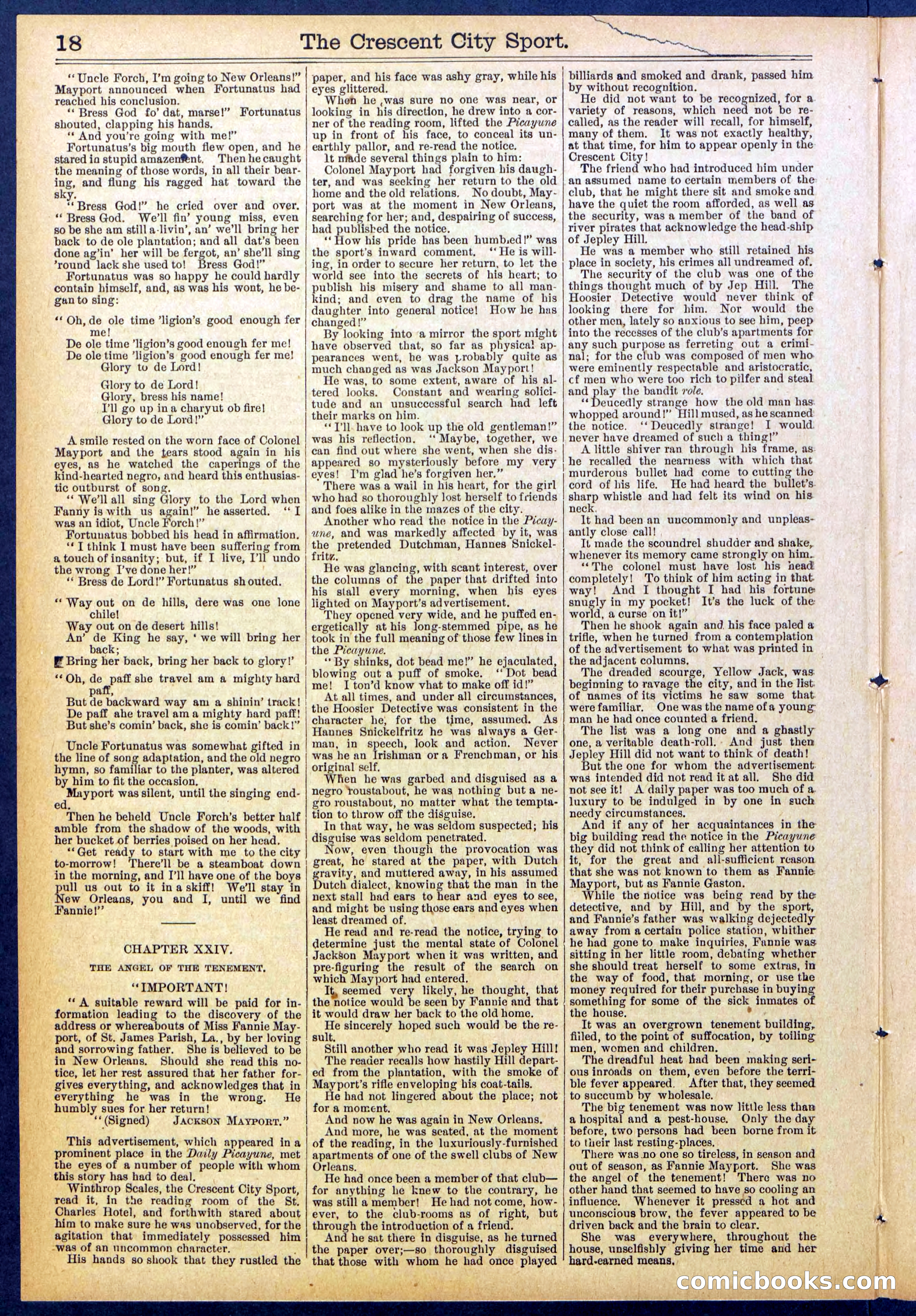 Beadle's New York Dime Library No. 843 — page 18 of 32