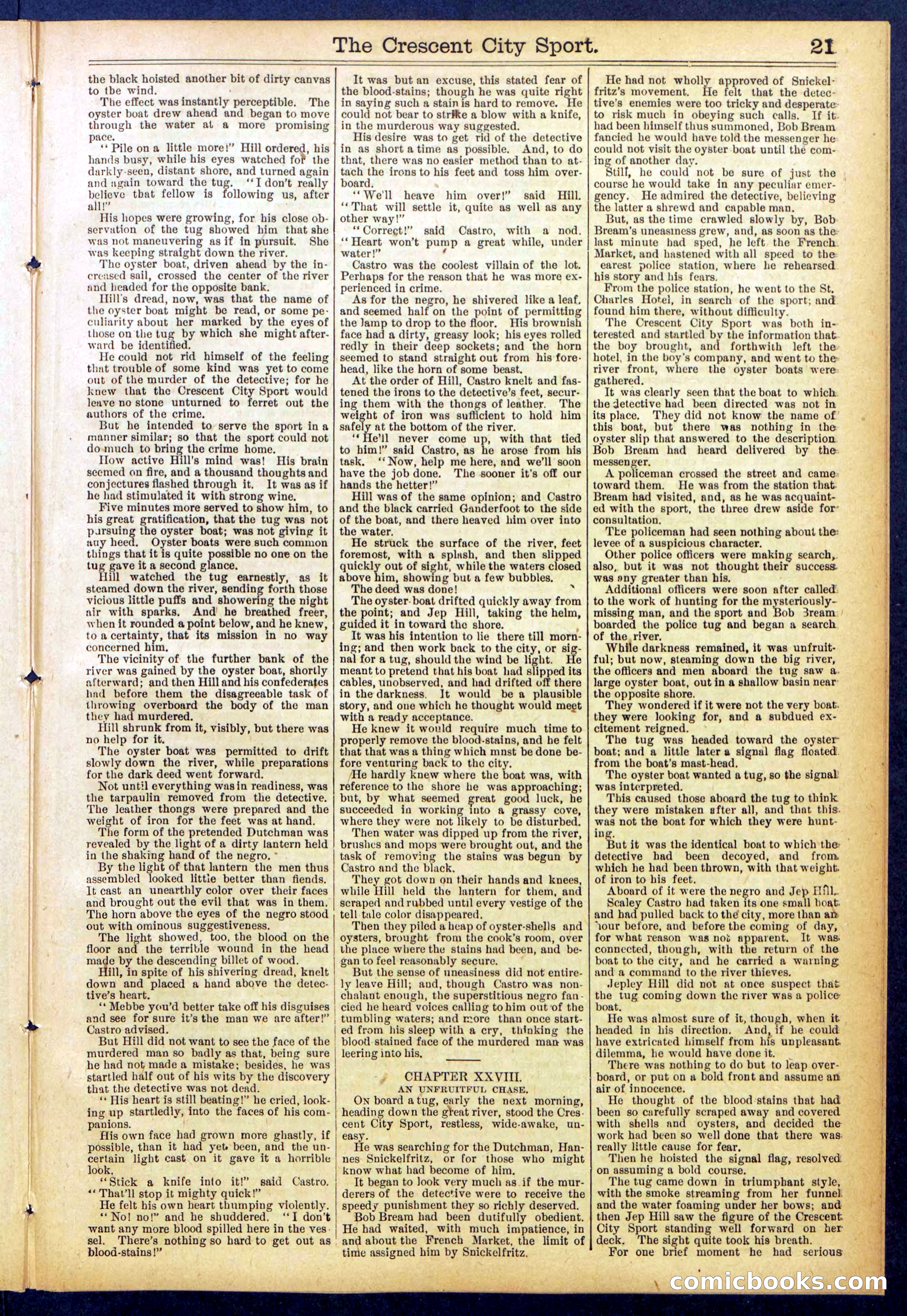Beadle's New York Dime Library No. 843 — page 21 of 32
