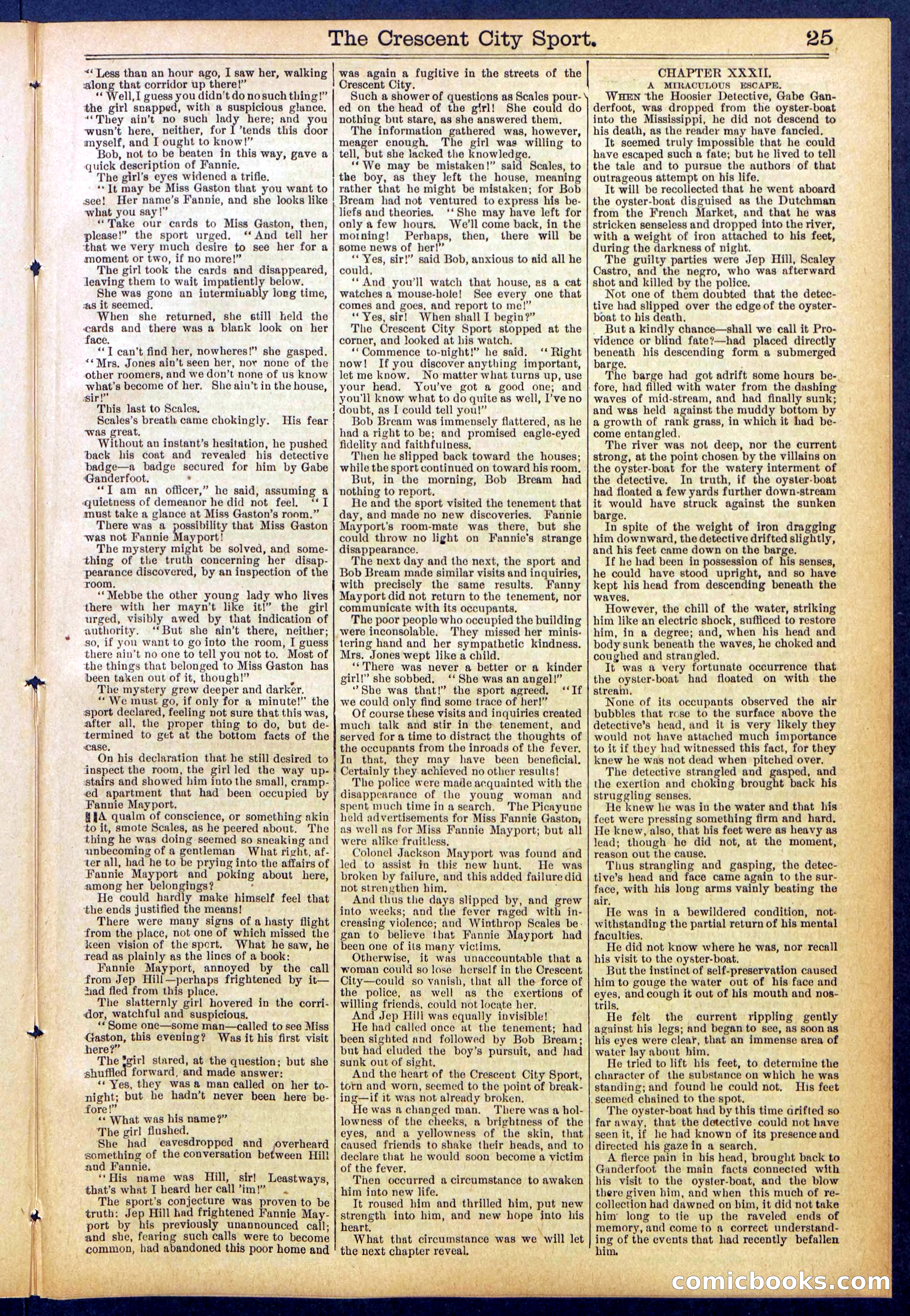Beadle's New York Dime Library No. 843 — page 25 of 32