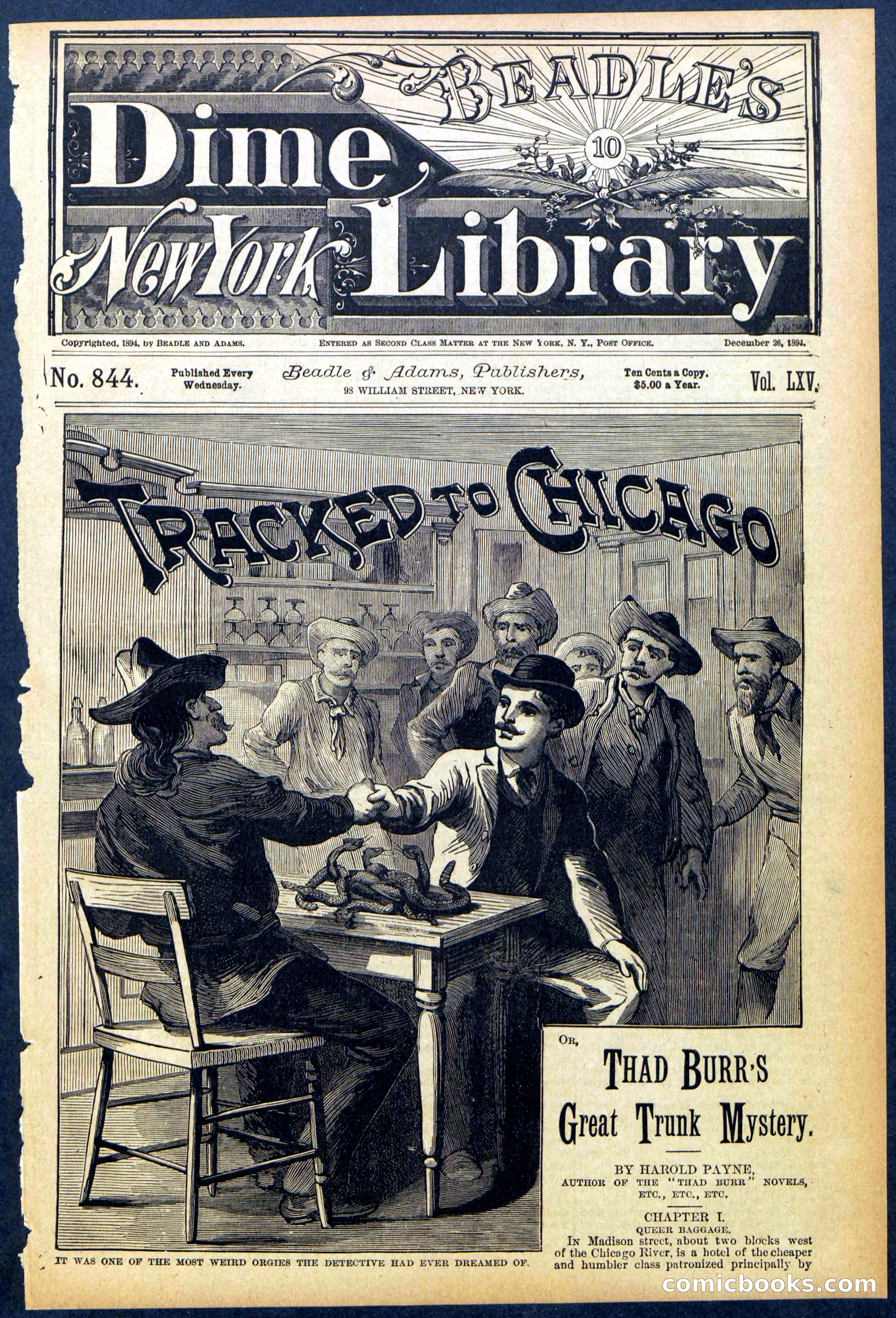 Beadle's New York Dime Library No. 844 — page 1 of 32