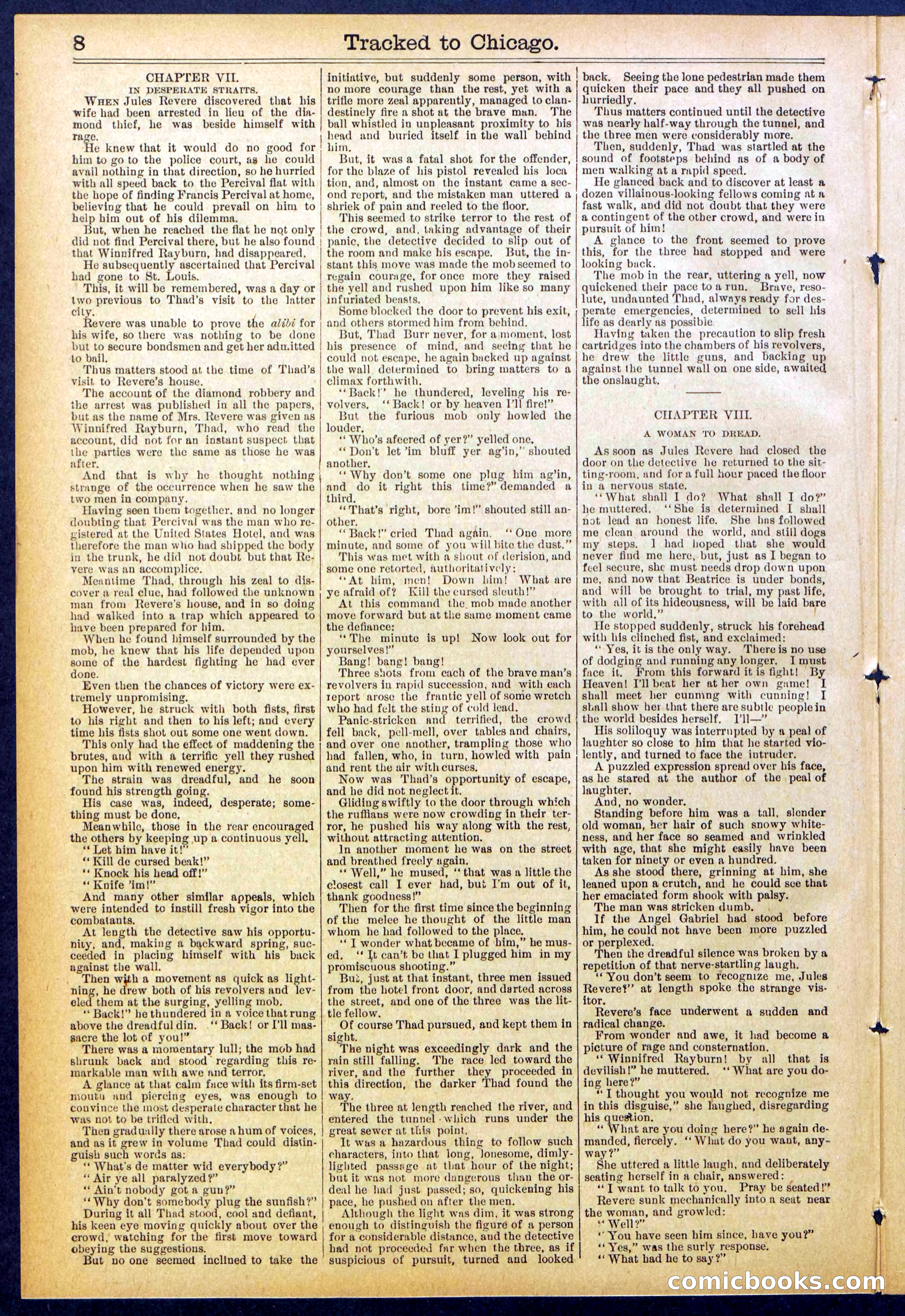 Beadle's New York Dime Library No. 844 — page 8 of 32