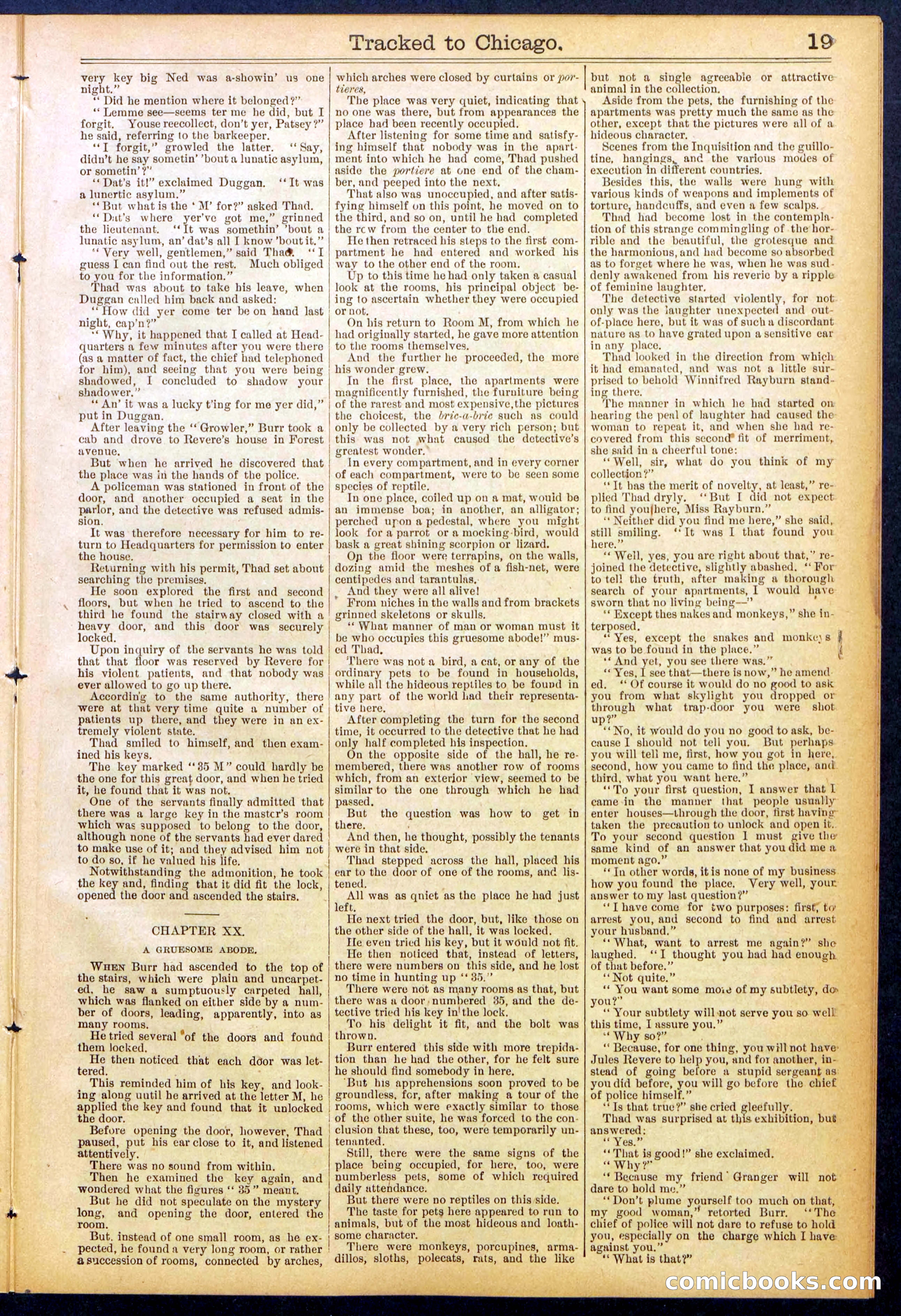Beadle's New York Dime Library No. 844 — page 19 of 32