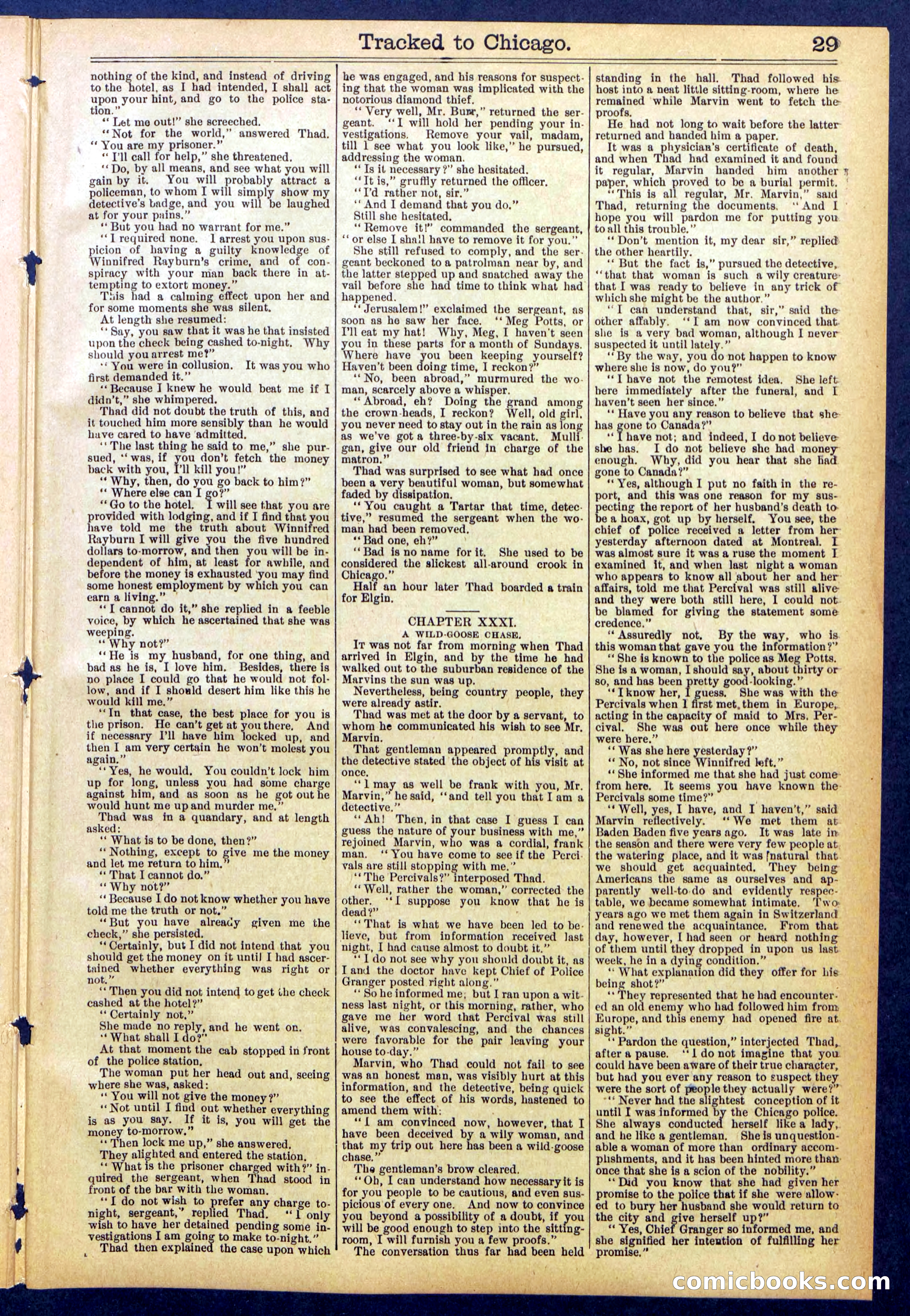 Beadle's New York Dime Library No. 844 — page 29 of 32
