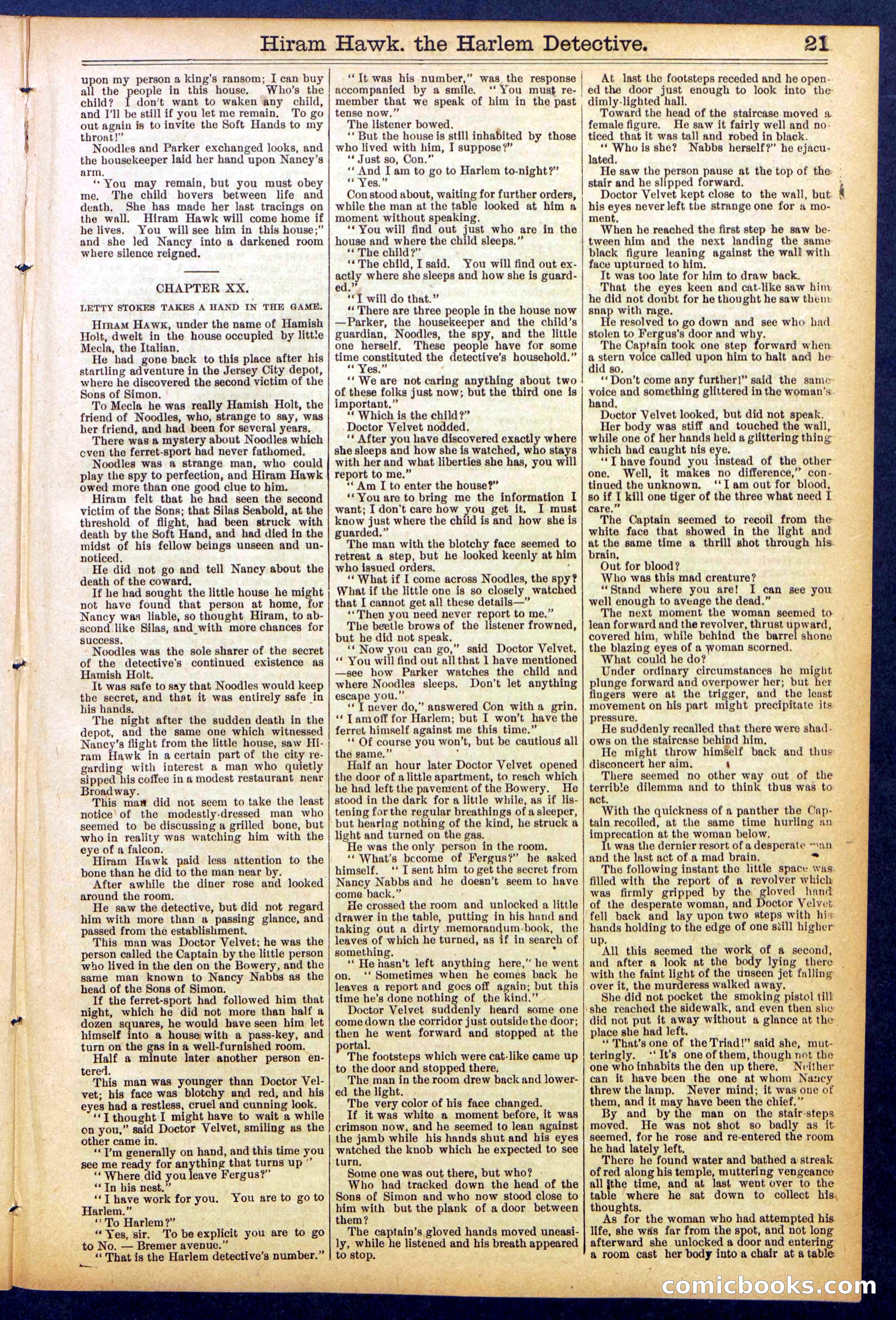 Beadle's Dime Library, No. 847 — page 21 of 32