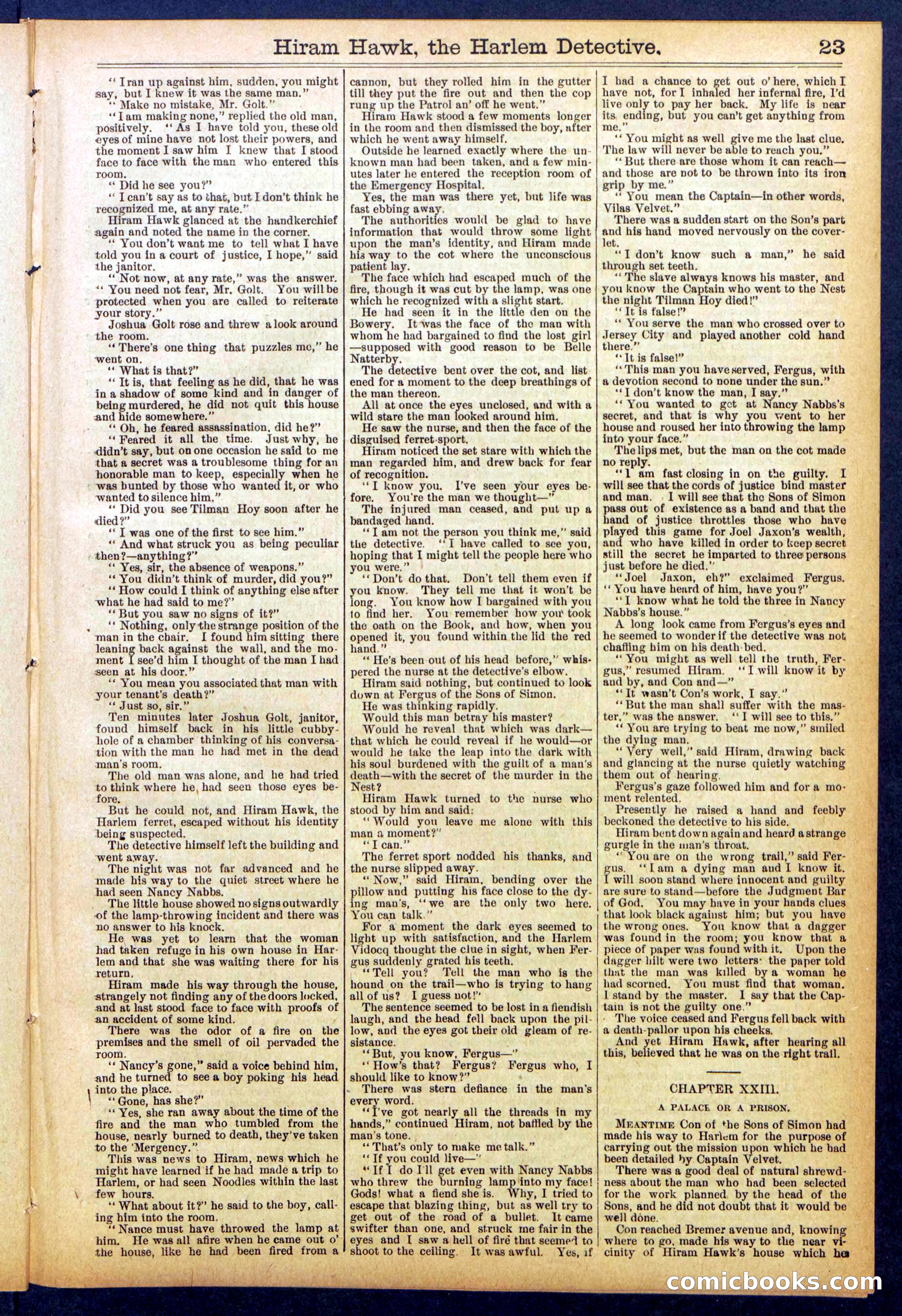 Beadle's Dime Library, No. 847 — page 23 of 32