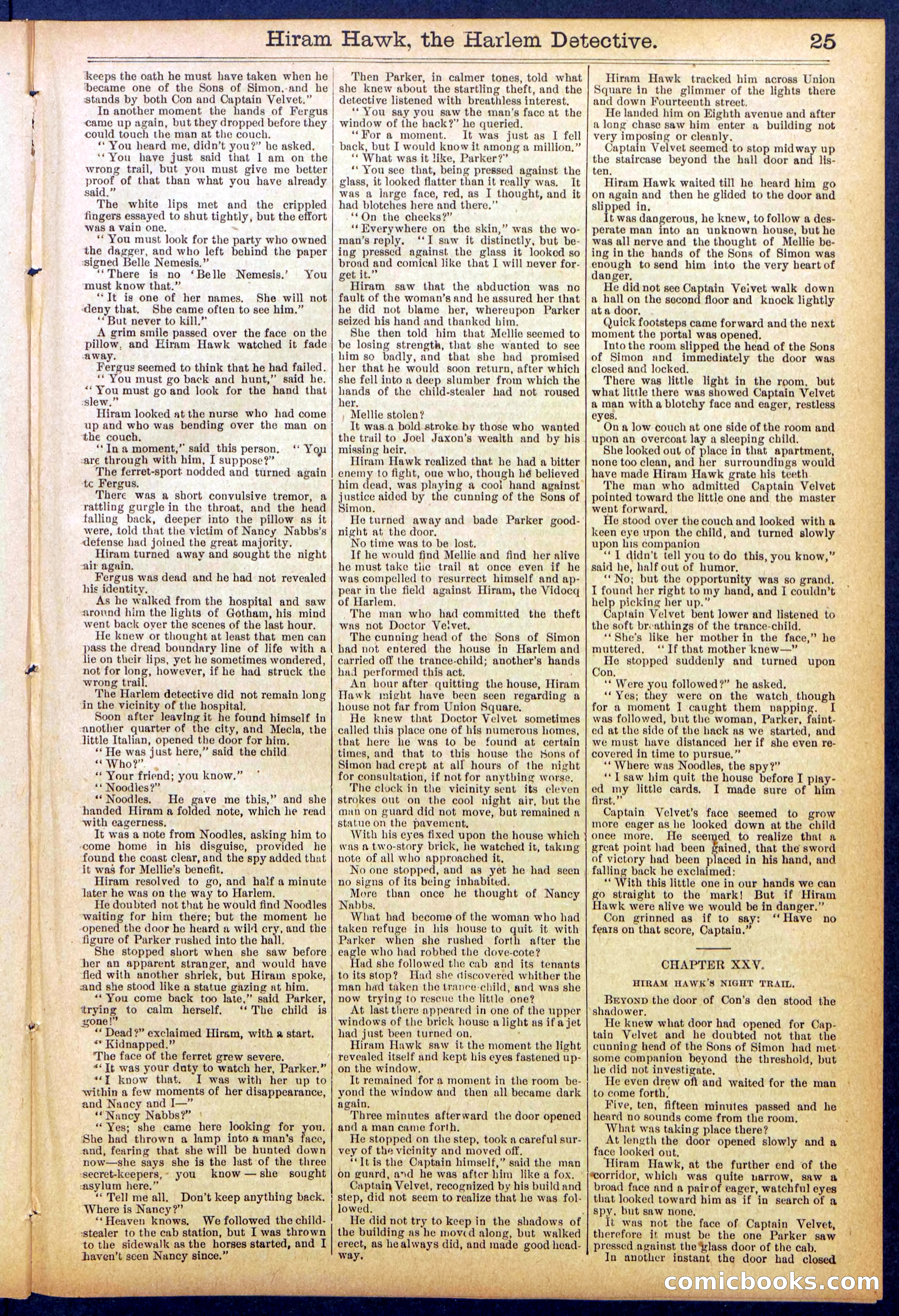Beadle's Dime Library, No. 847 — page 25 of 32