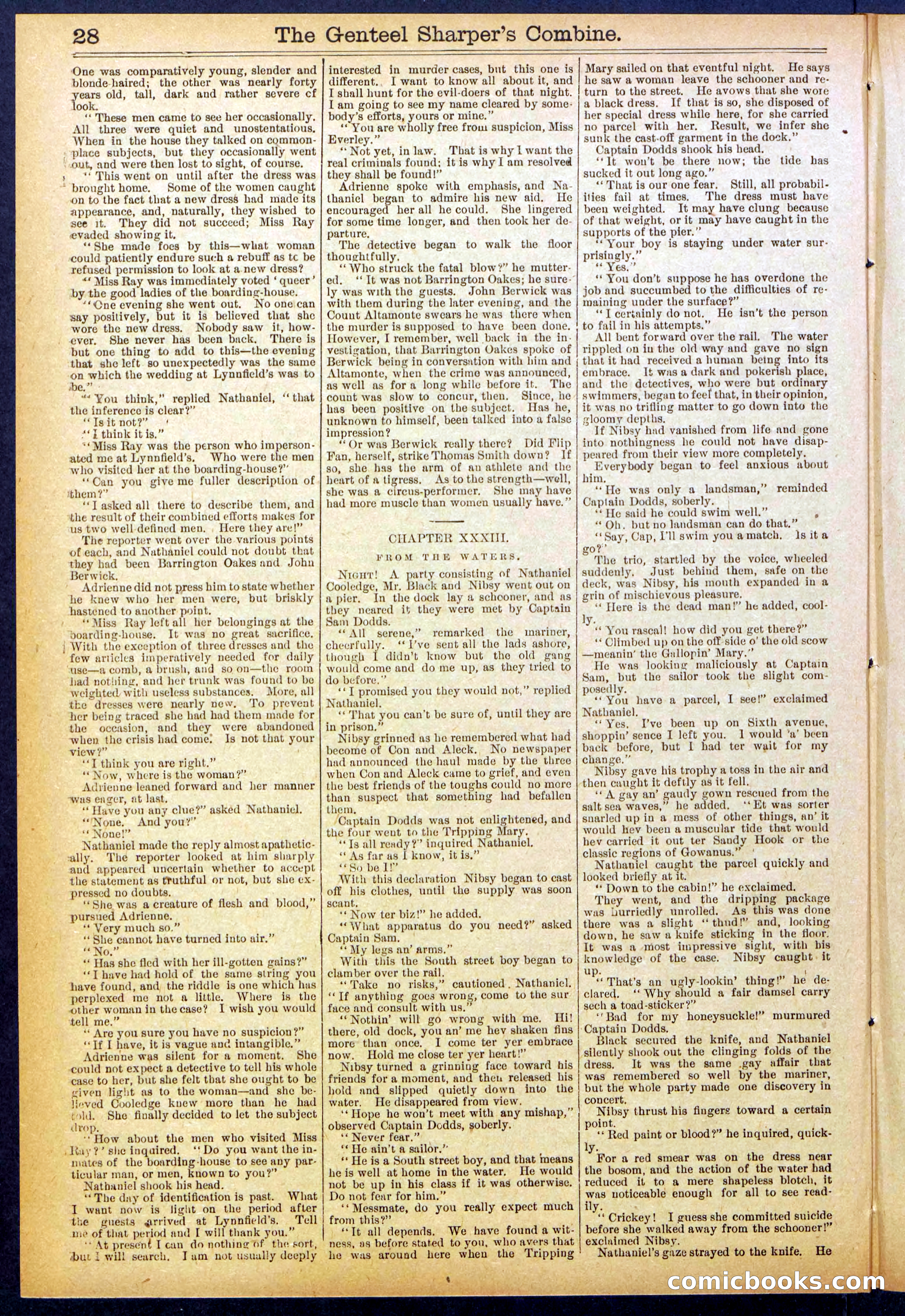 Beadle's Dime Library No. 849 — page 28 of 32