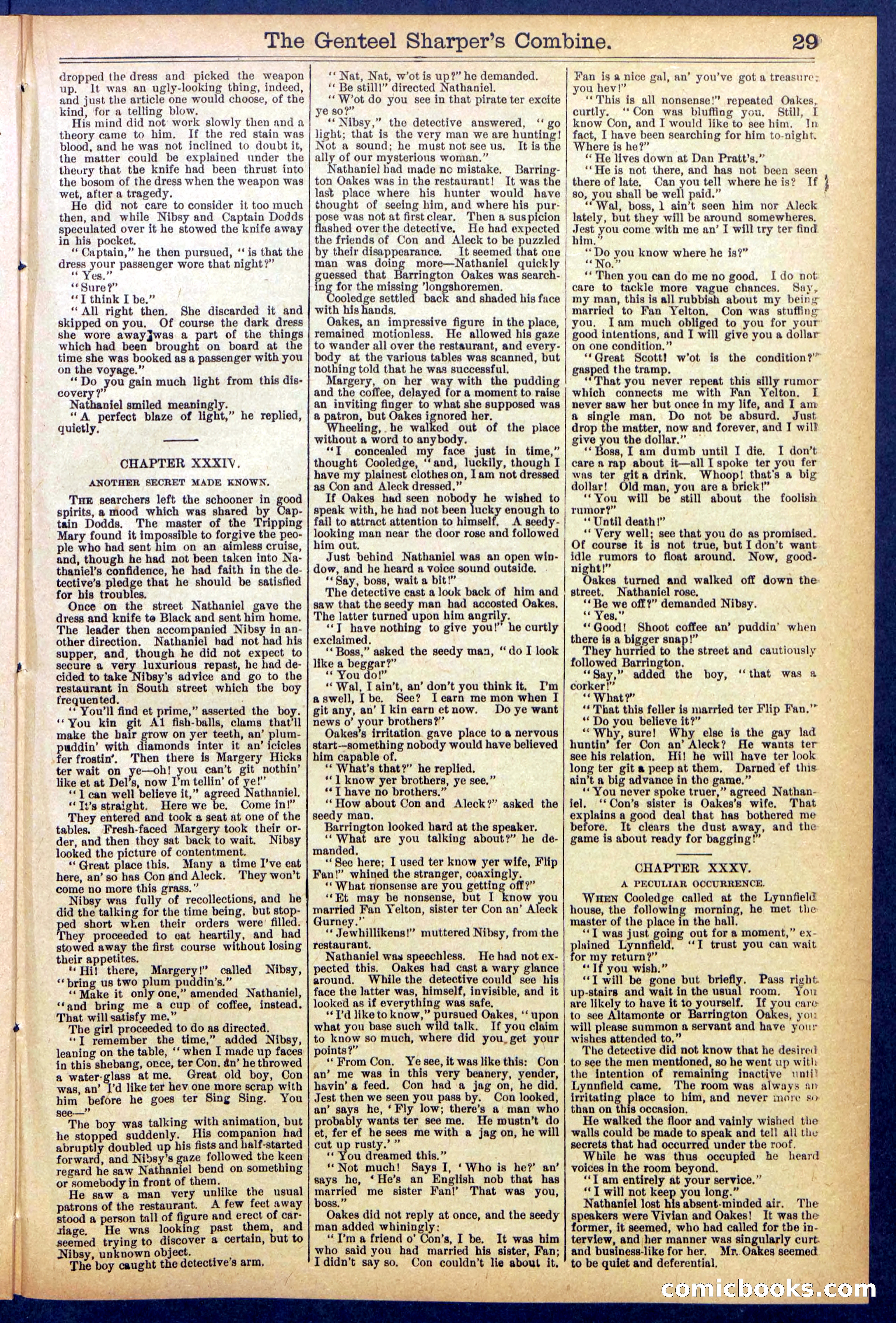Beadle's Dime Library No. 849 — page 29 of 32