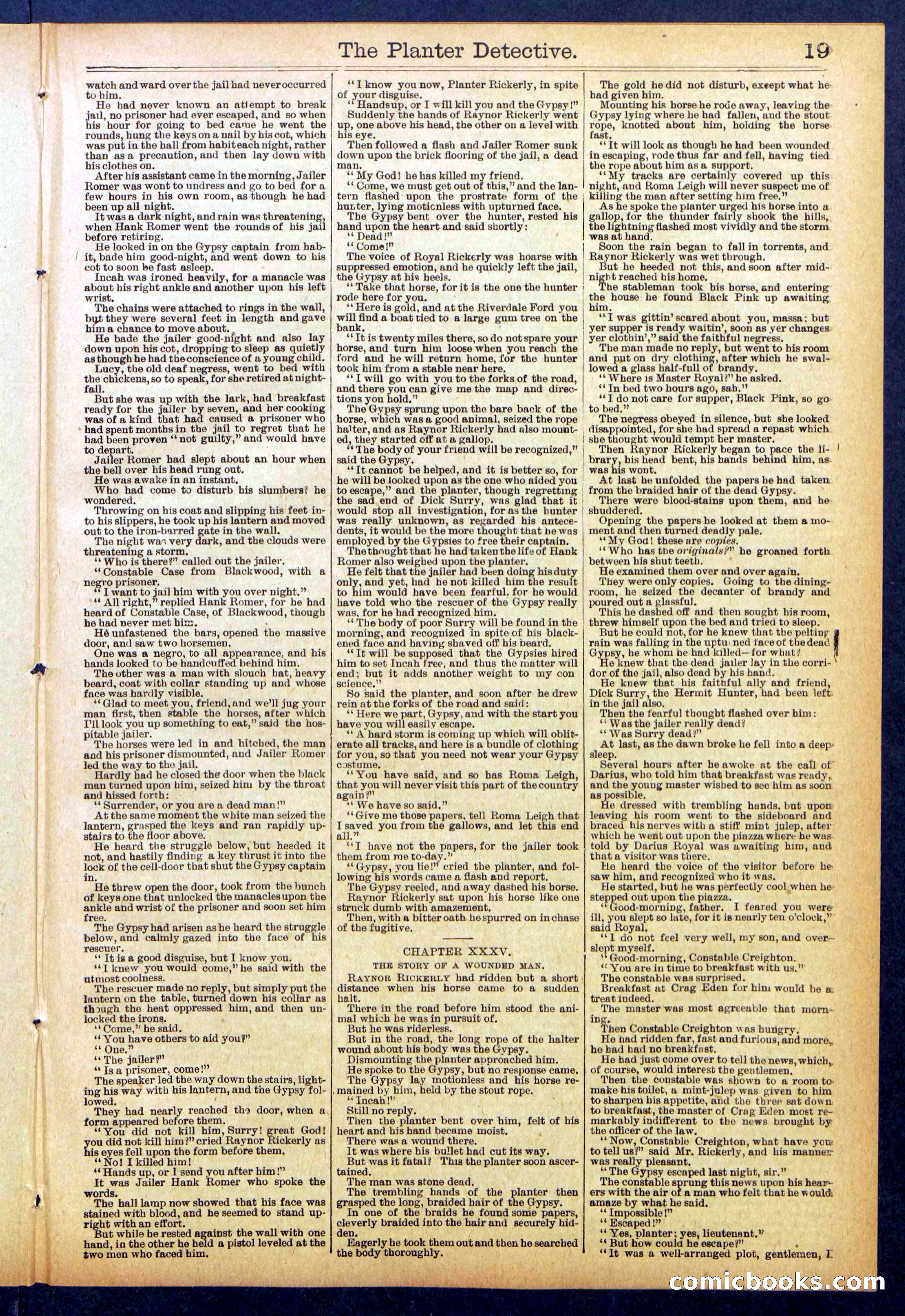 Beadle's Dime Library No. 850 — page 19 of 32