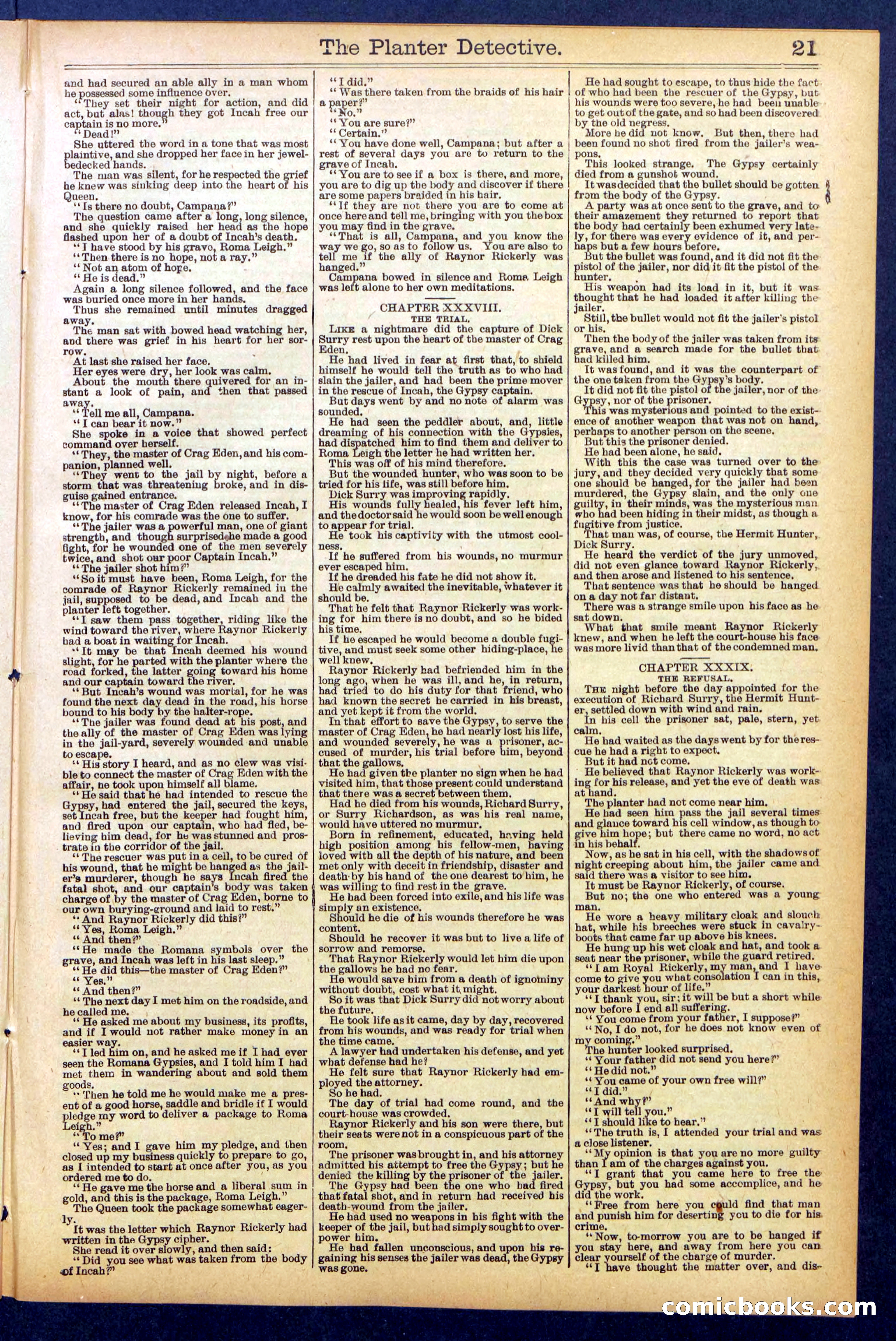 Beadle's Dime Library No. 850 — page 21 of 32