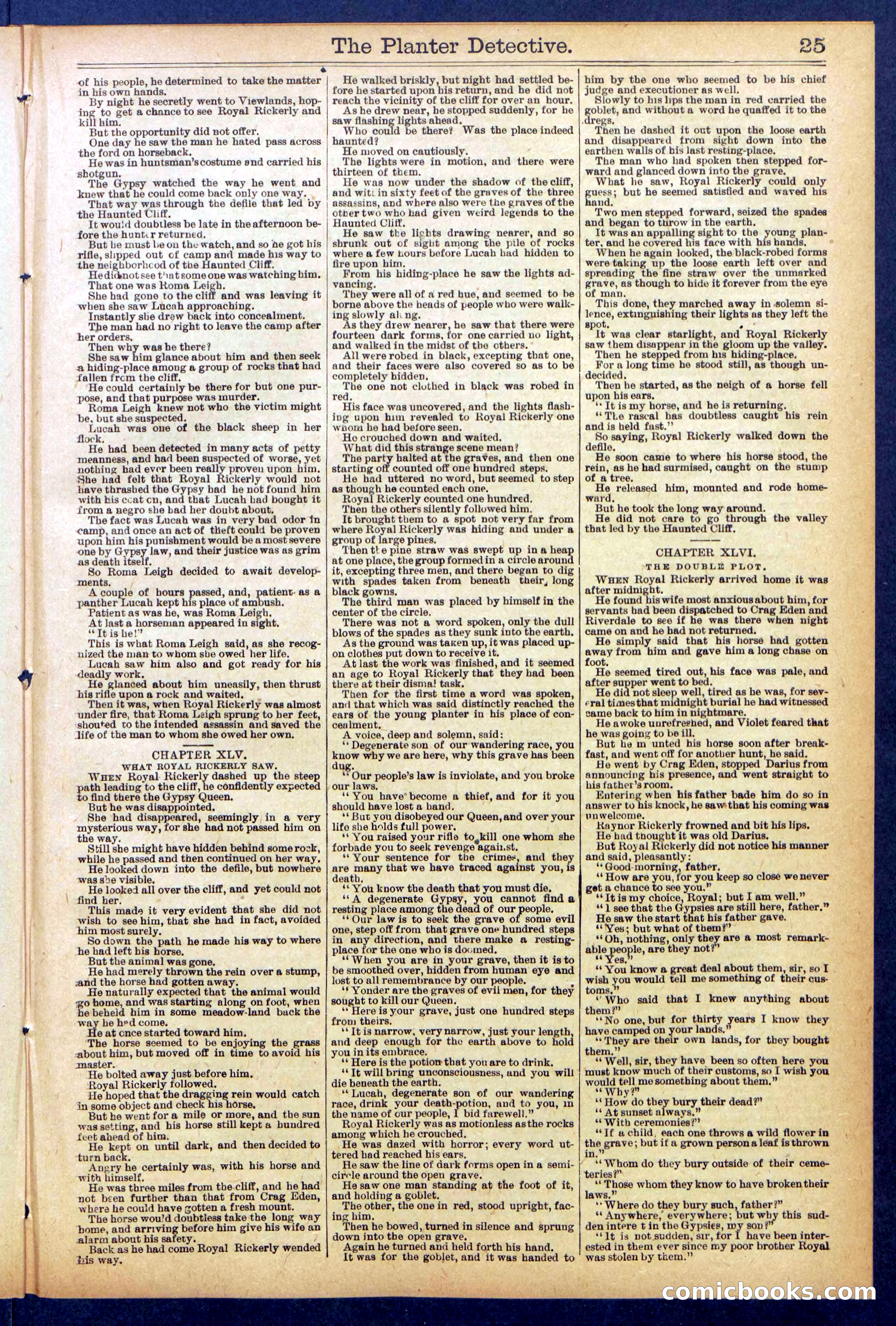 Beadle's Dime Library No. 850 — page 25 of 32