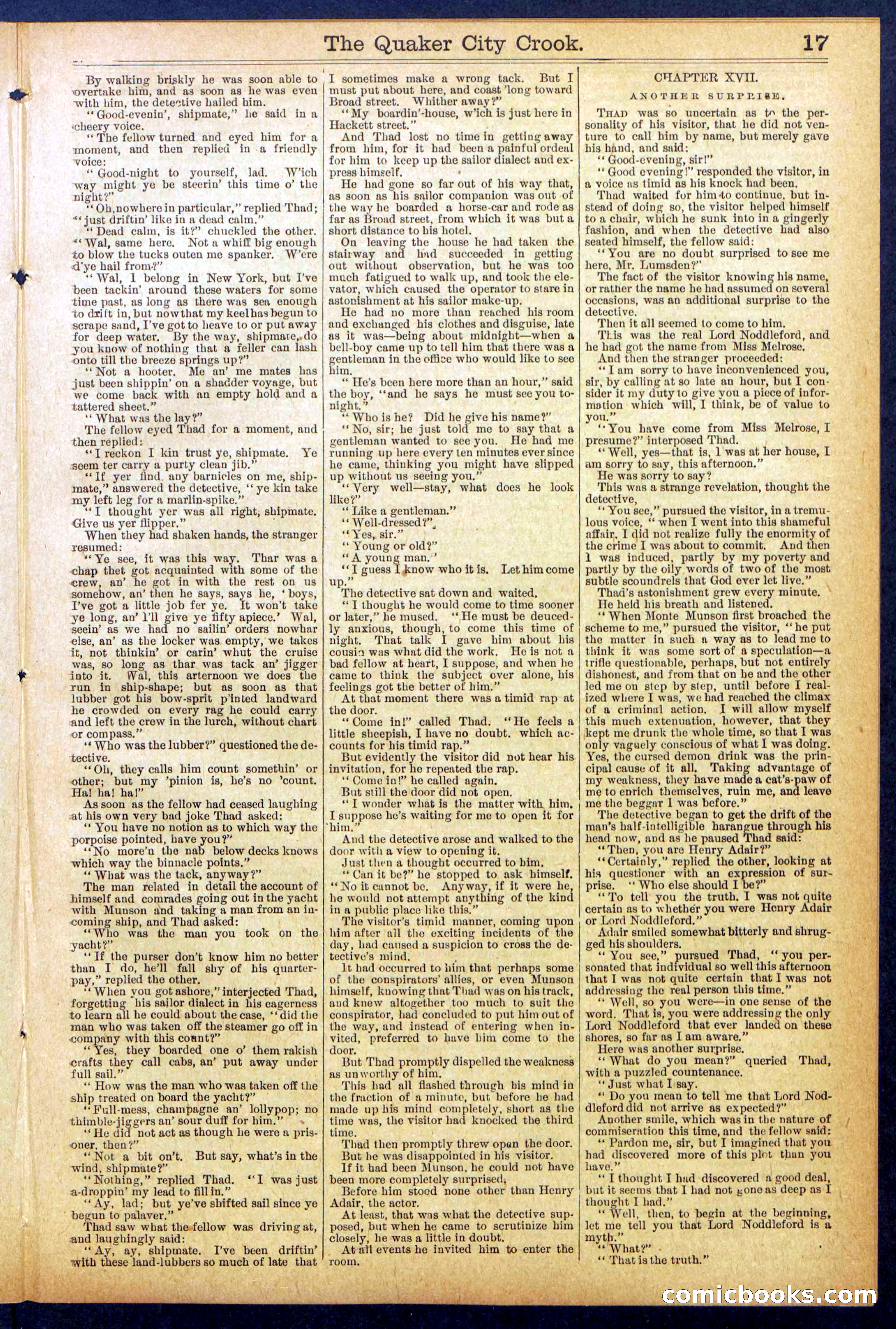 Beadle's New York Dime Library, No. 853 — page 17 of 32