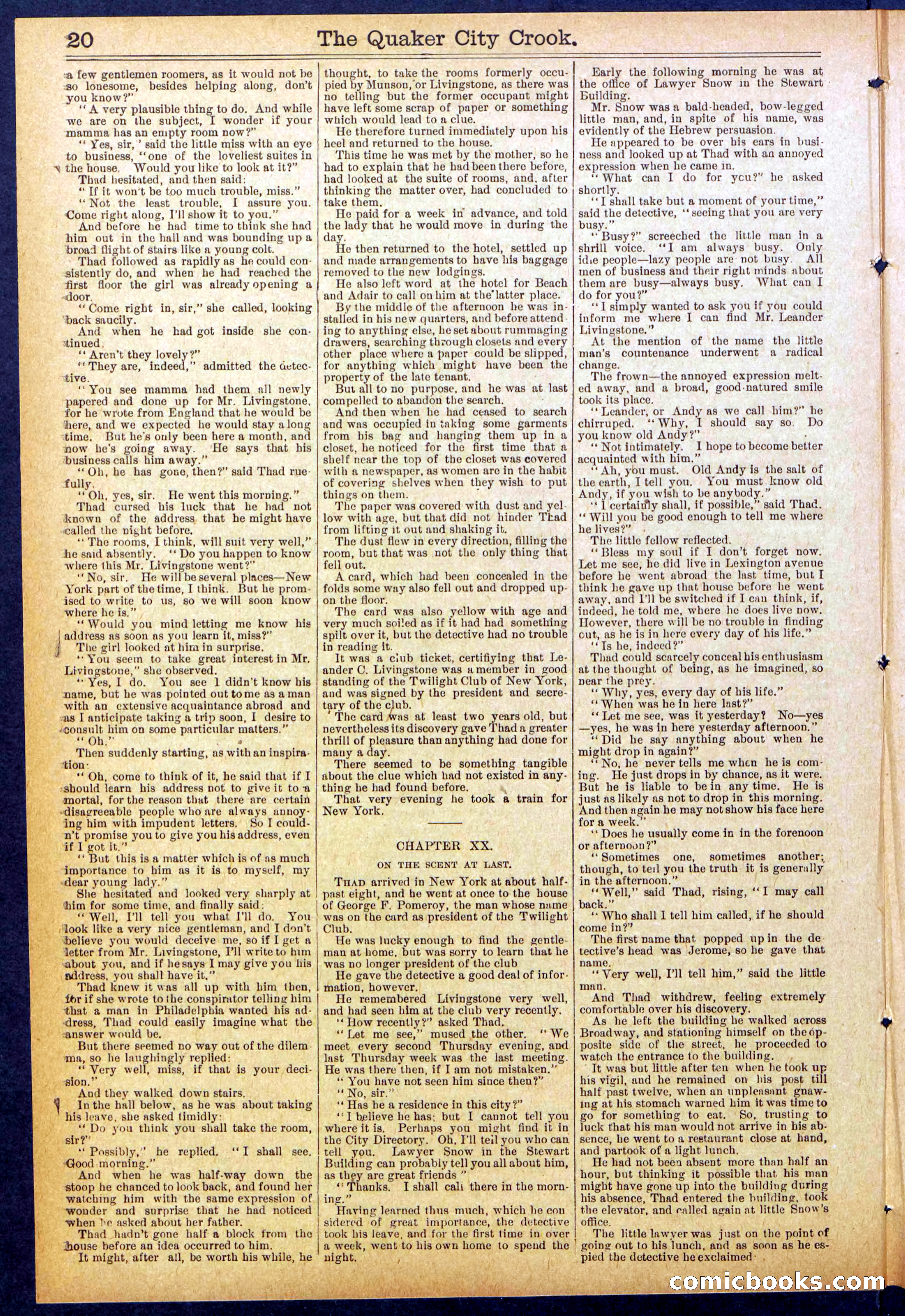 Beadle's New York Dime Library, No. 853 — page 20 of 32