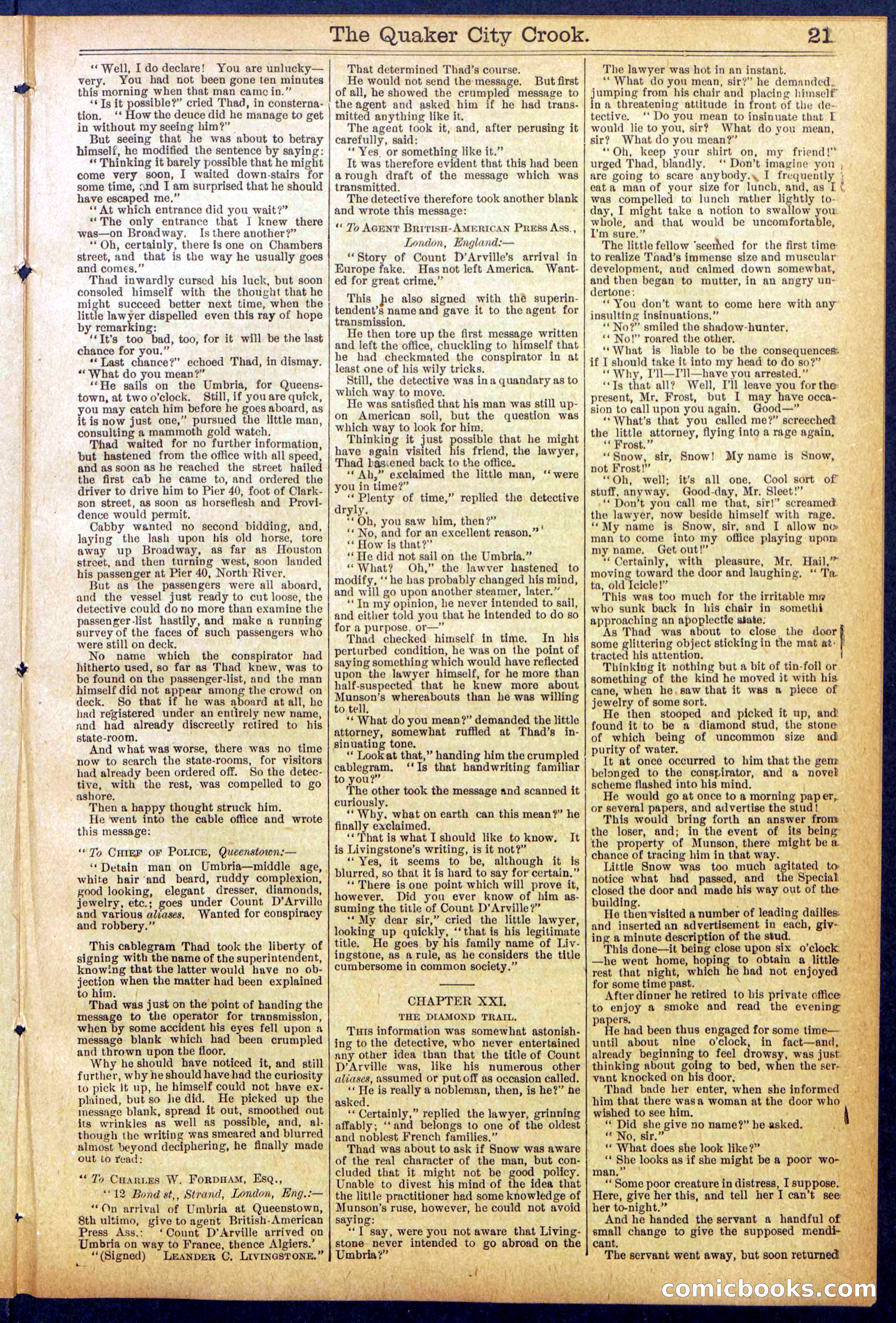 Beadle's New York Dime Library, No. 853 — page 21 of 32