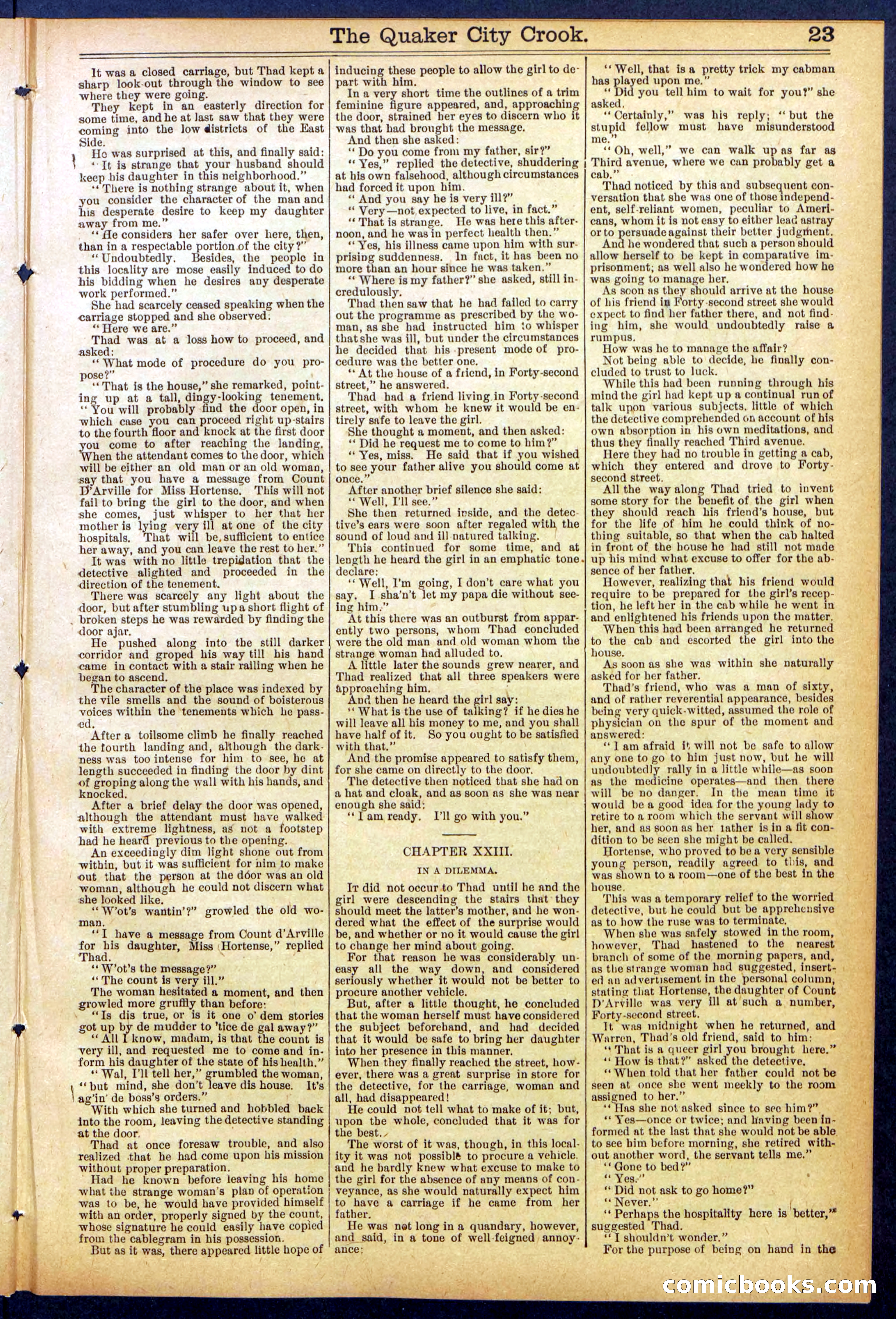 Beadle's New York Dime Library, No. 853 — page 23 of 32