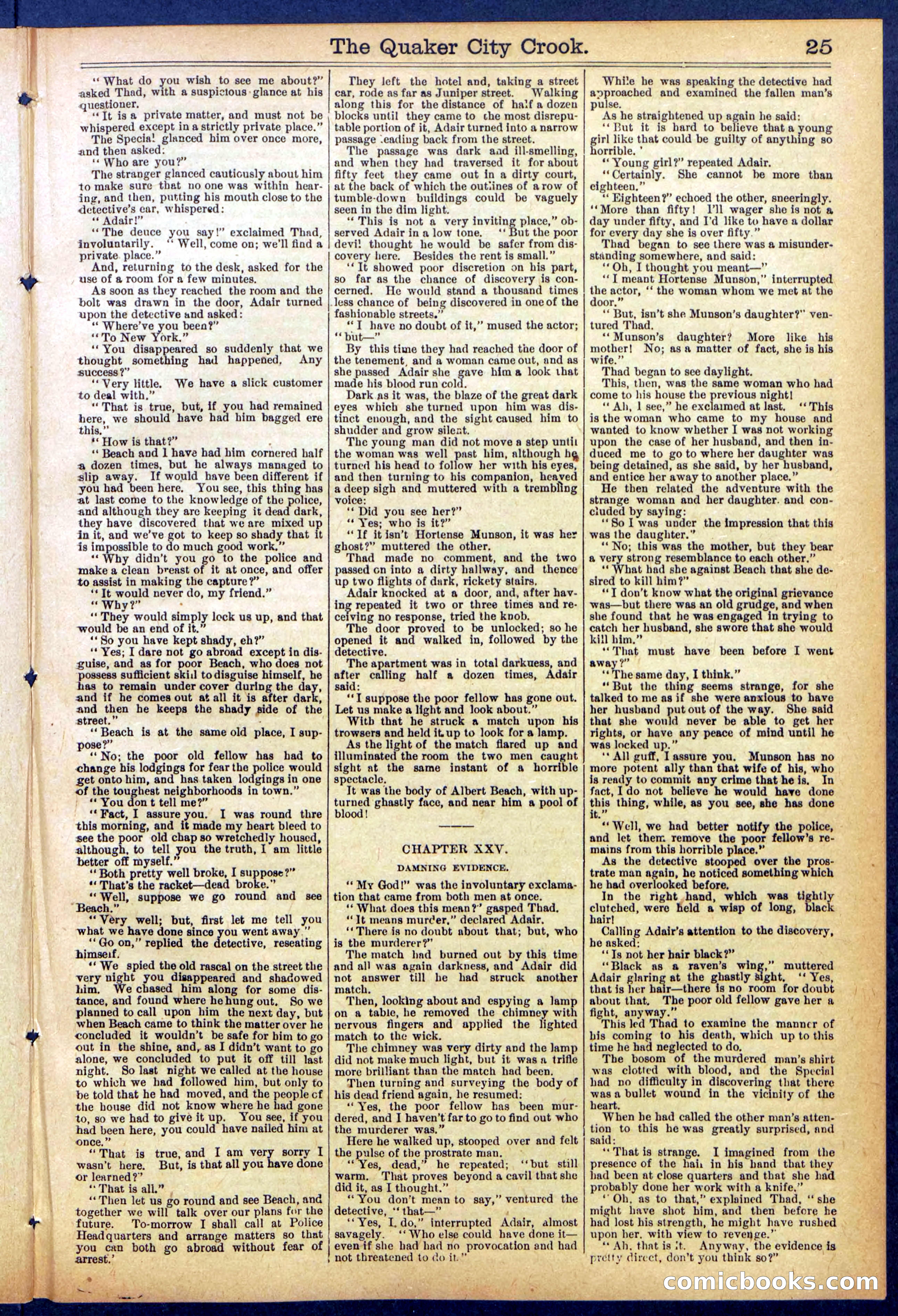 Beadle's New York Dime Library, No. 853 — page 25 of 32