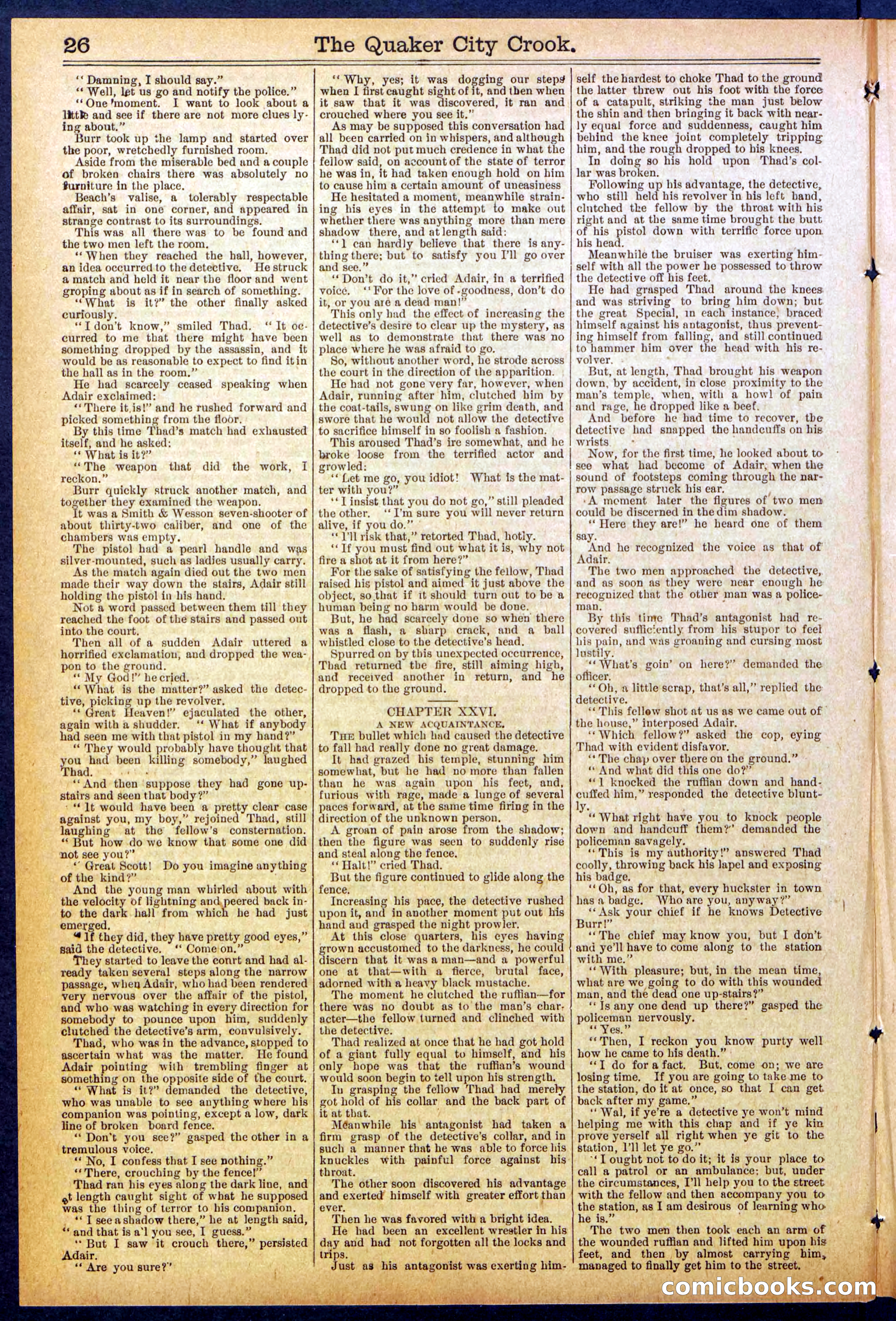 Beadle's New York Dime Library, No. 853 — page 26 of 32