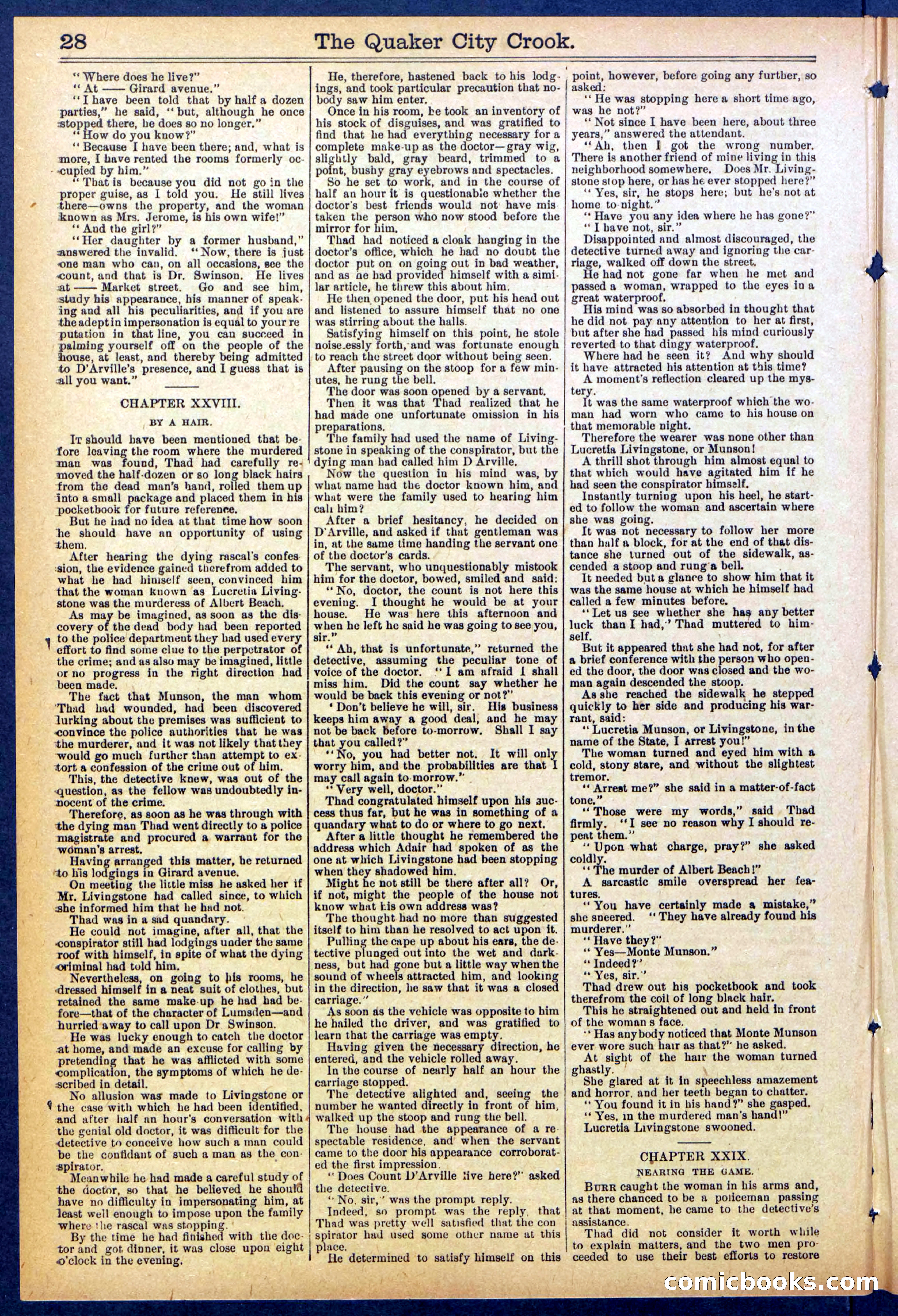 Beadle's New York Dime Library, No. 853 — page 28 of 32