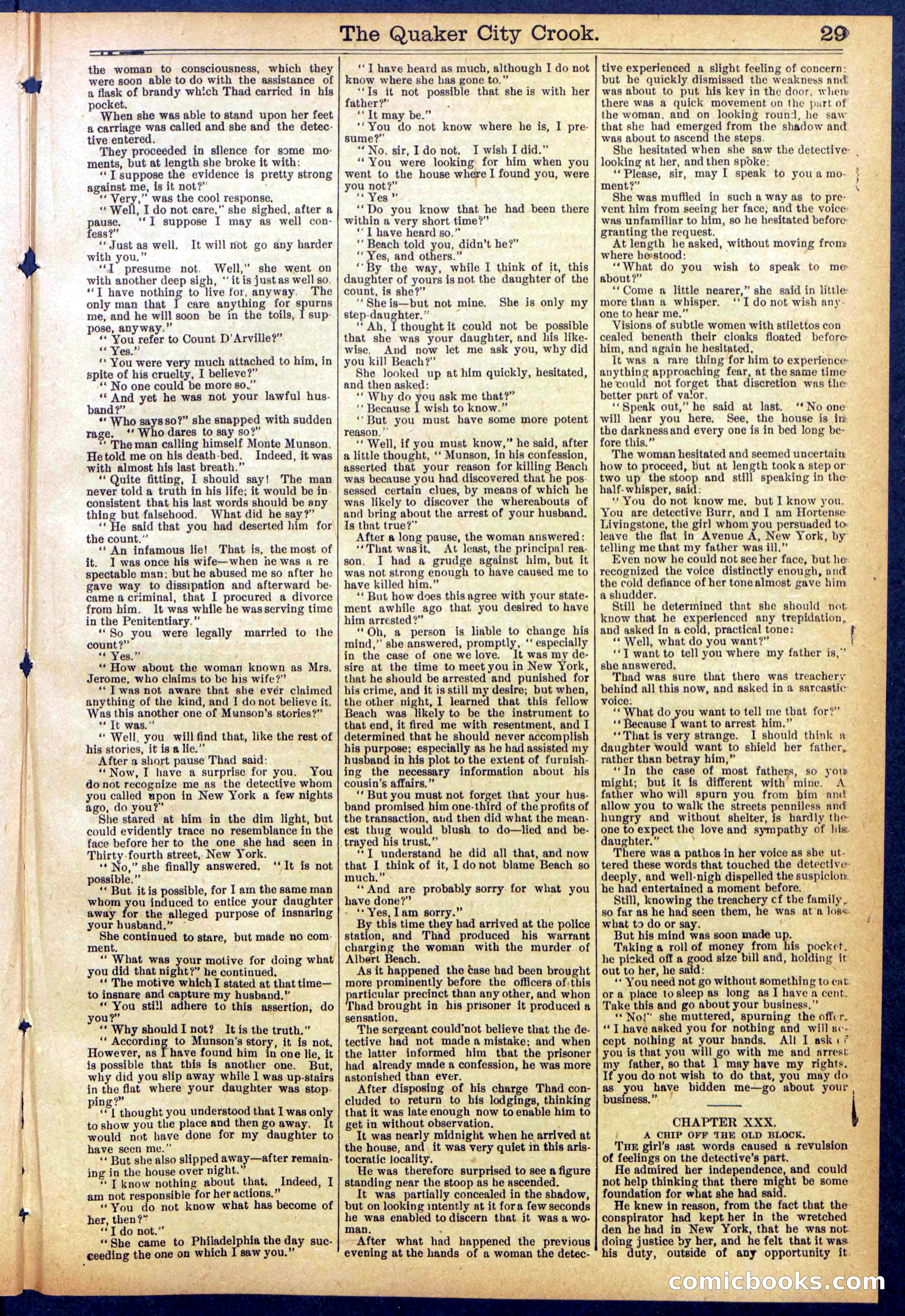 Beadle's New York Dime Library, No. 853 — page 29 of 32