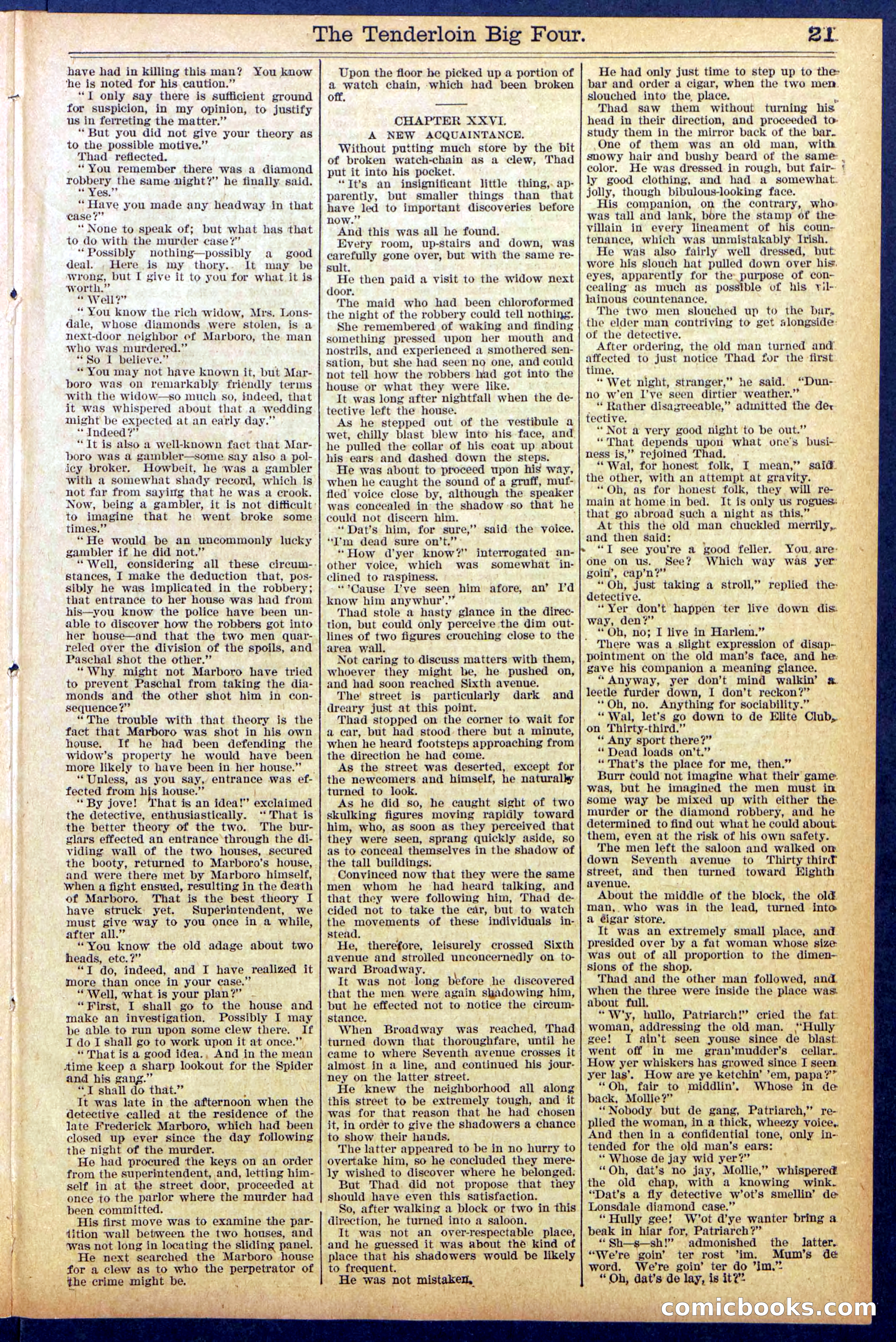 Beadle's New York Dime Library No. 861 — page 21 of 32