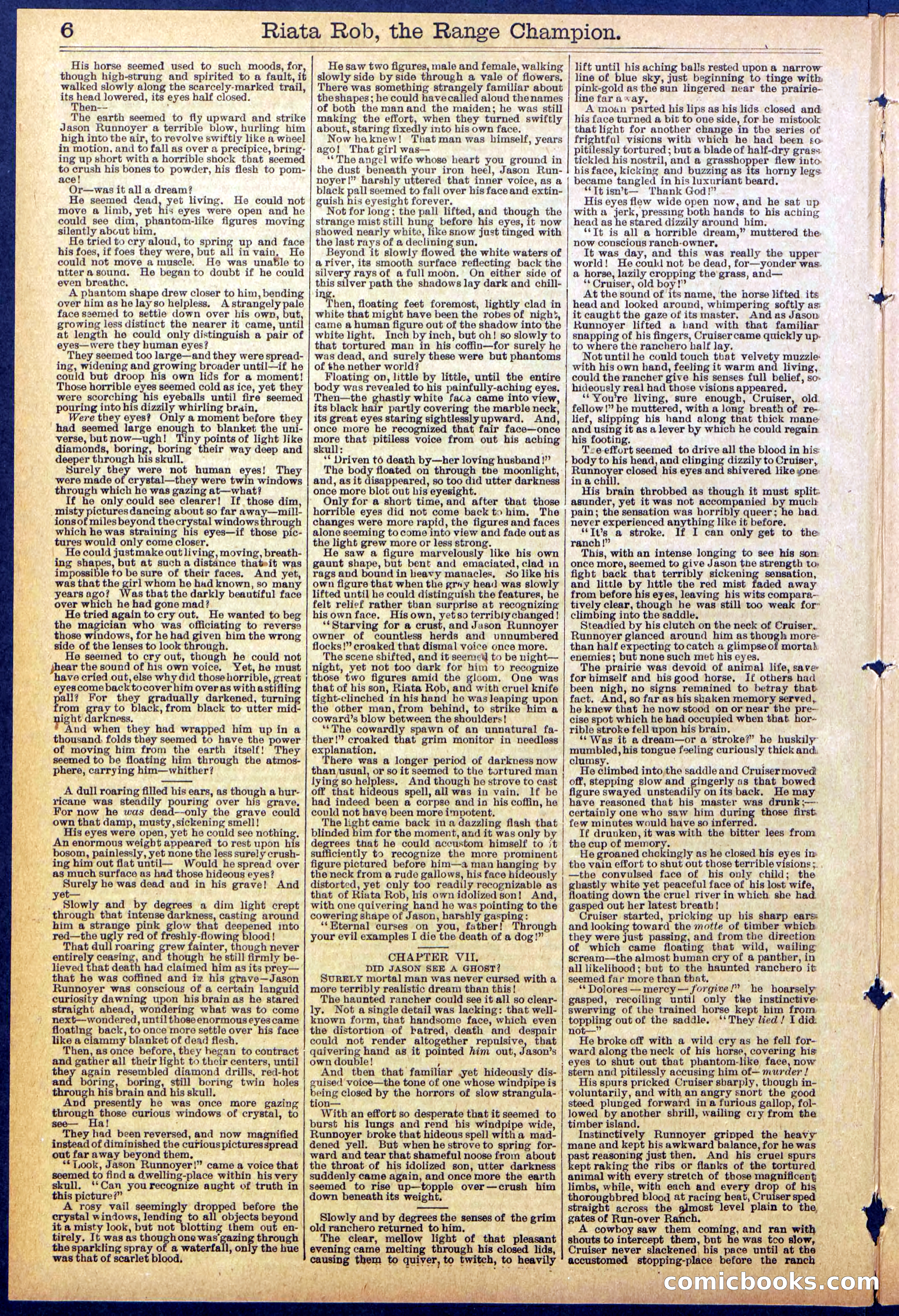 Beadle's New York Dime Library No. 862 — page 6 of 32