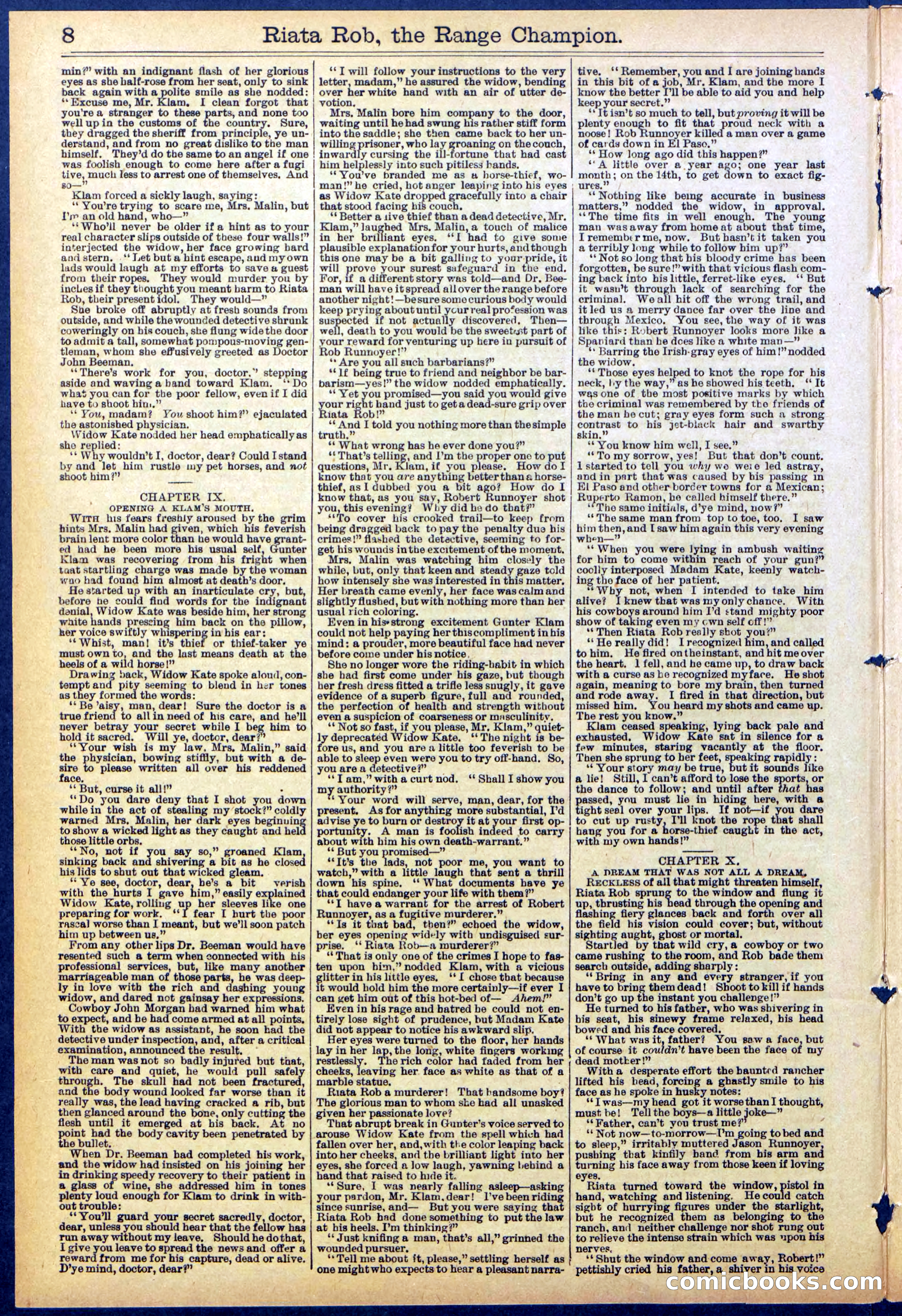 Beadle's New York Dime Library No. 862 — page 8 of 32