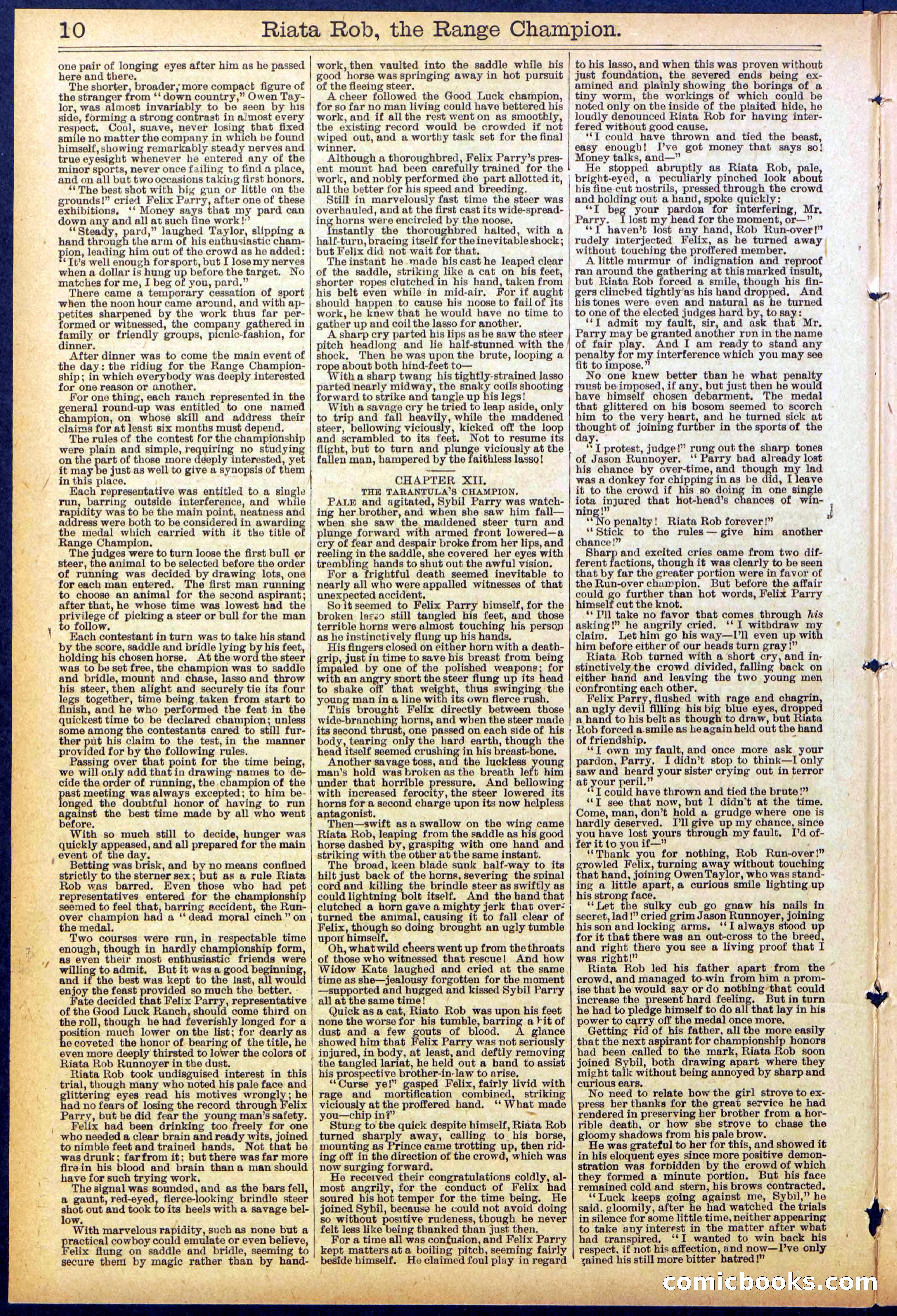 Beadle's New York Dime Library No. 862 — page 10 of 32