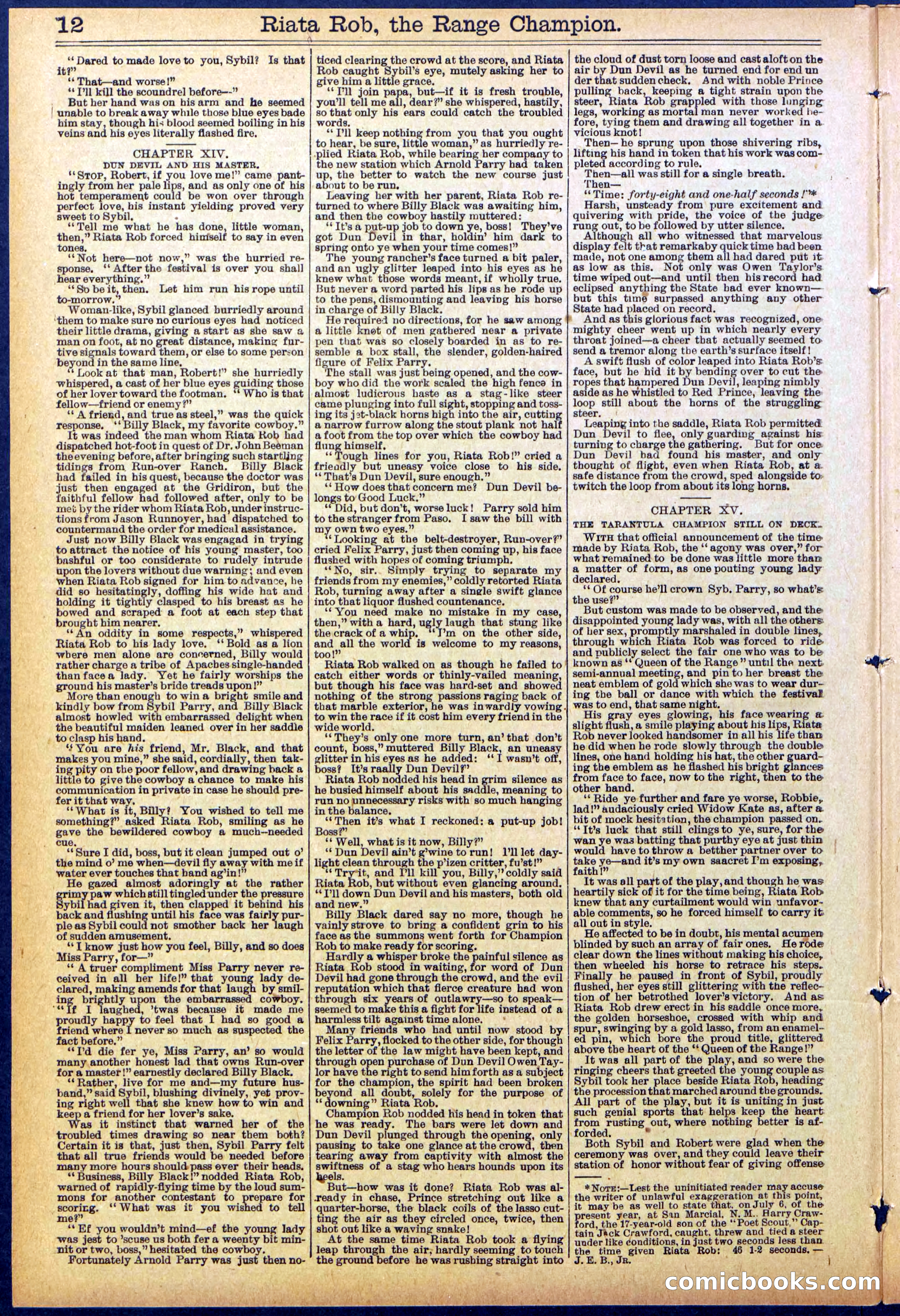 Beadle's New York Dime Library No. 862 — page 12 of 32