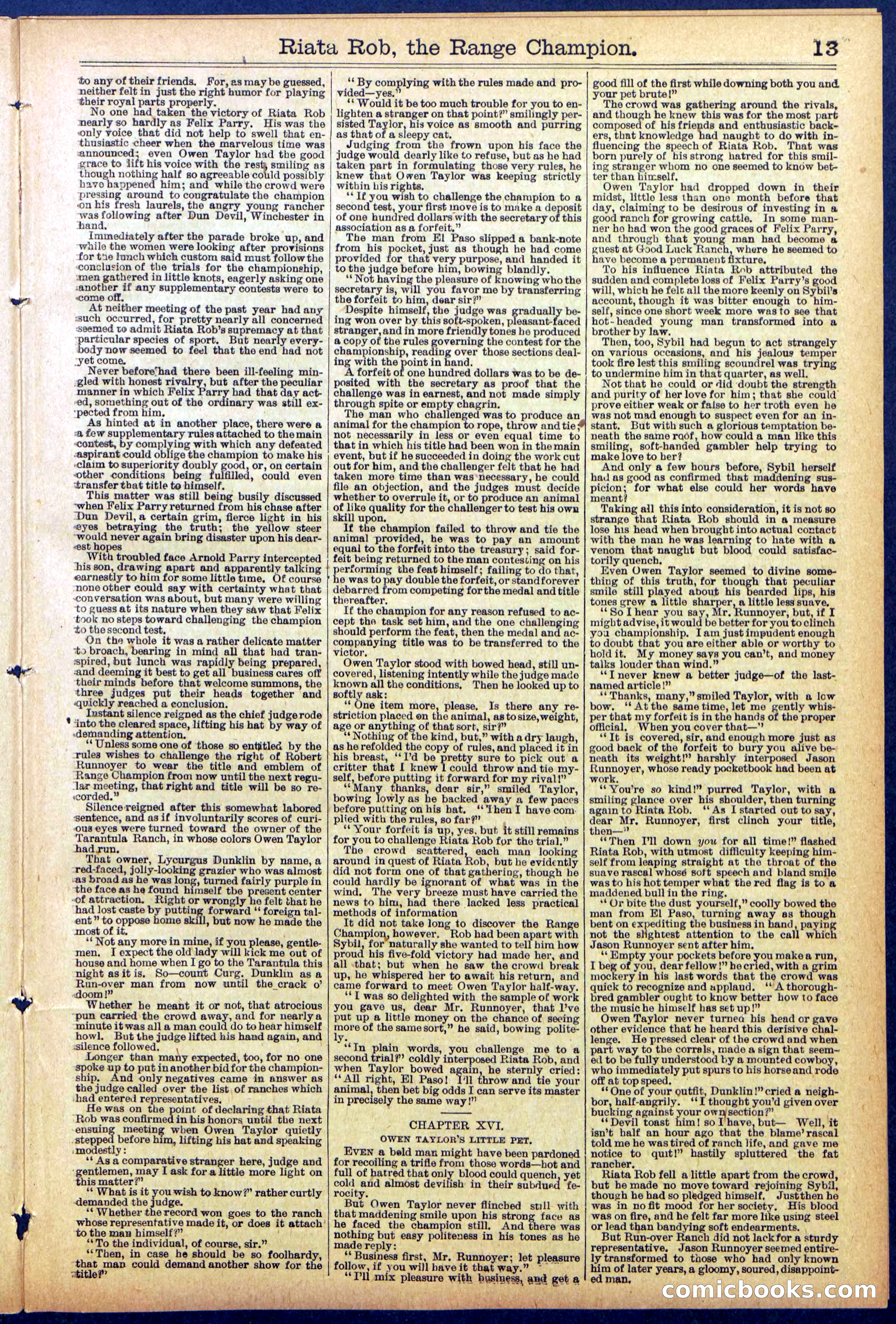 Beadle's New York Dime Library No. 862 — page 13 of 32