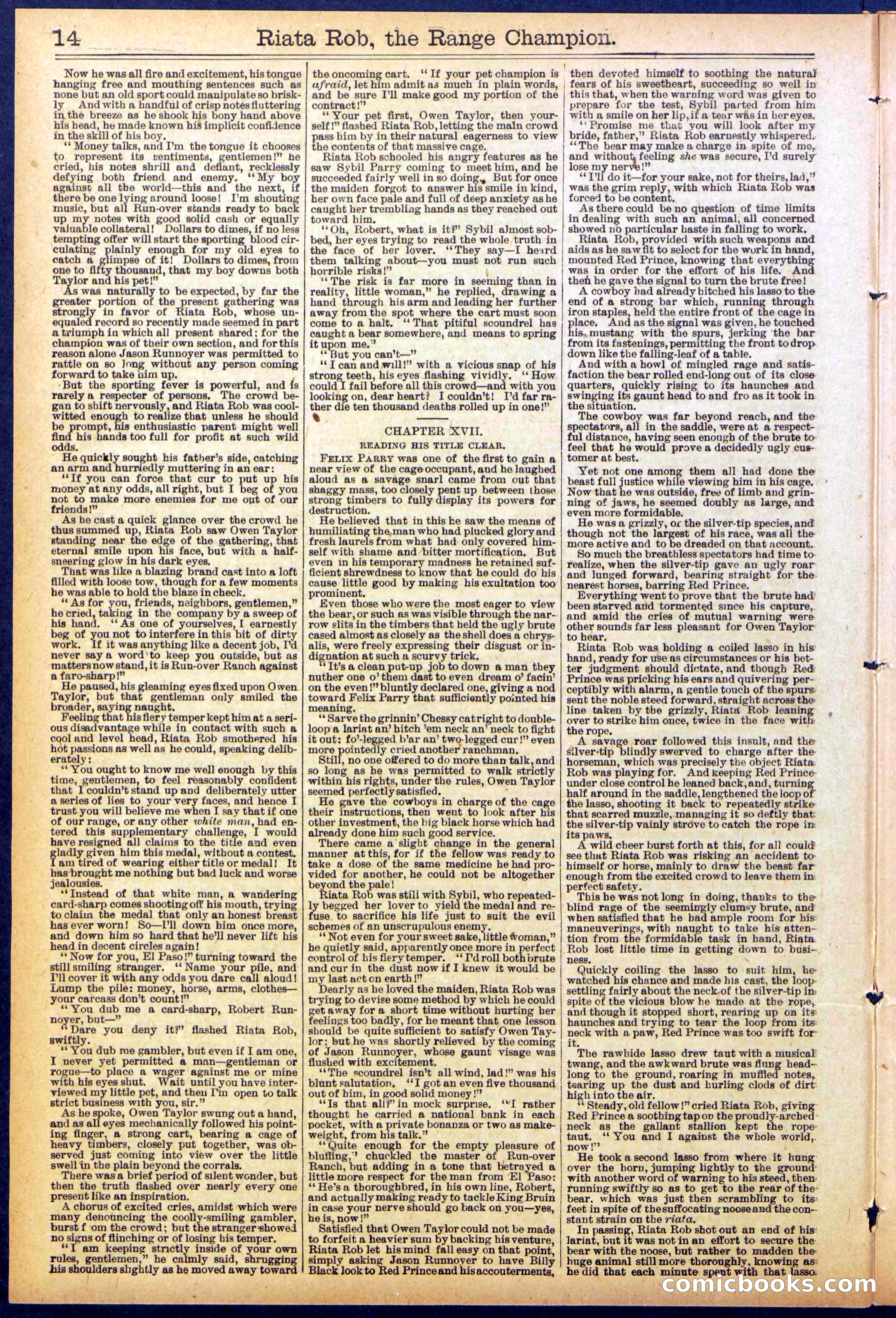 Beadle's New York Dime Library No. 862 — page 14 of 32