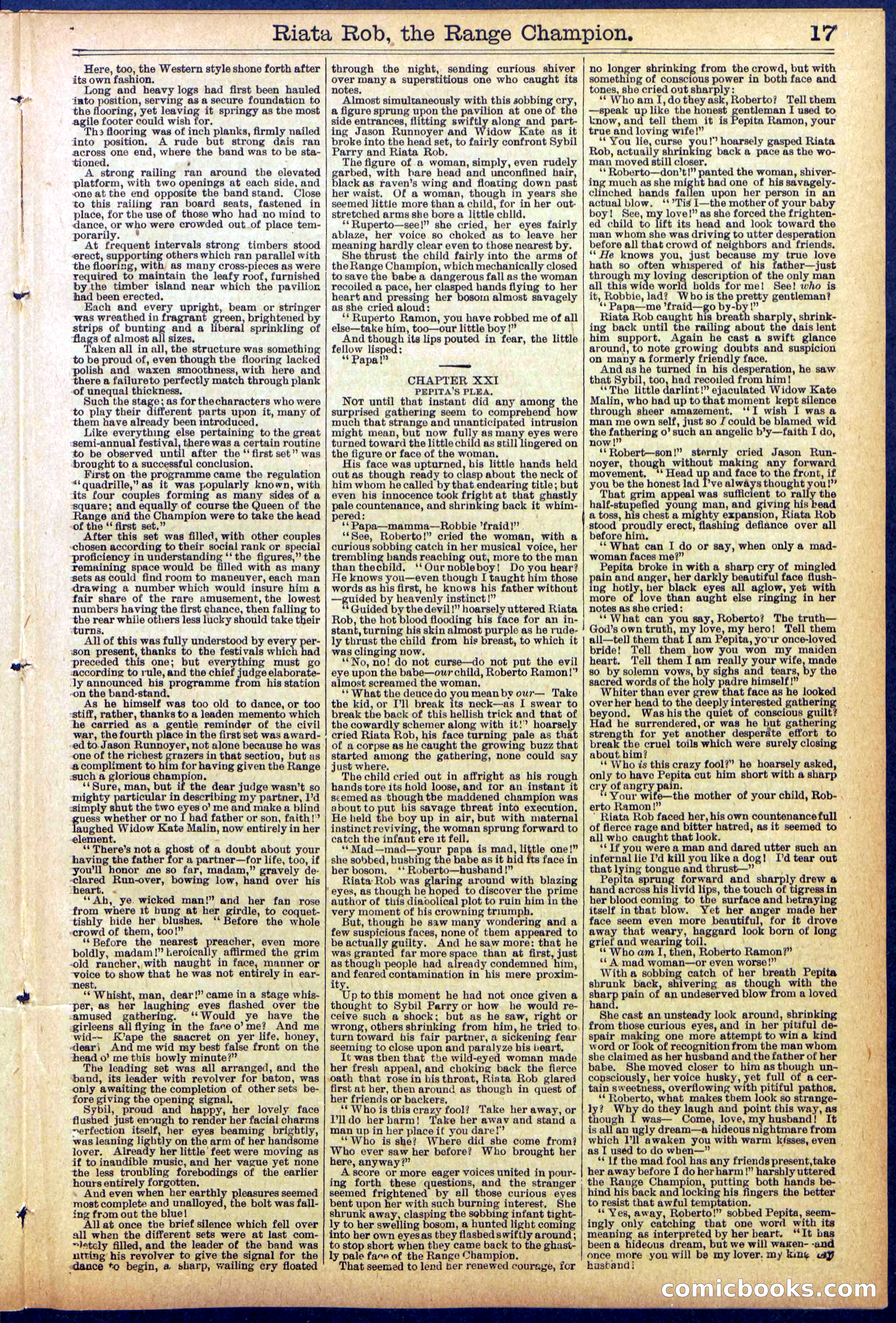 Beadle's New York Dime Library No. 862 — page 17 of 32