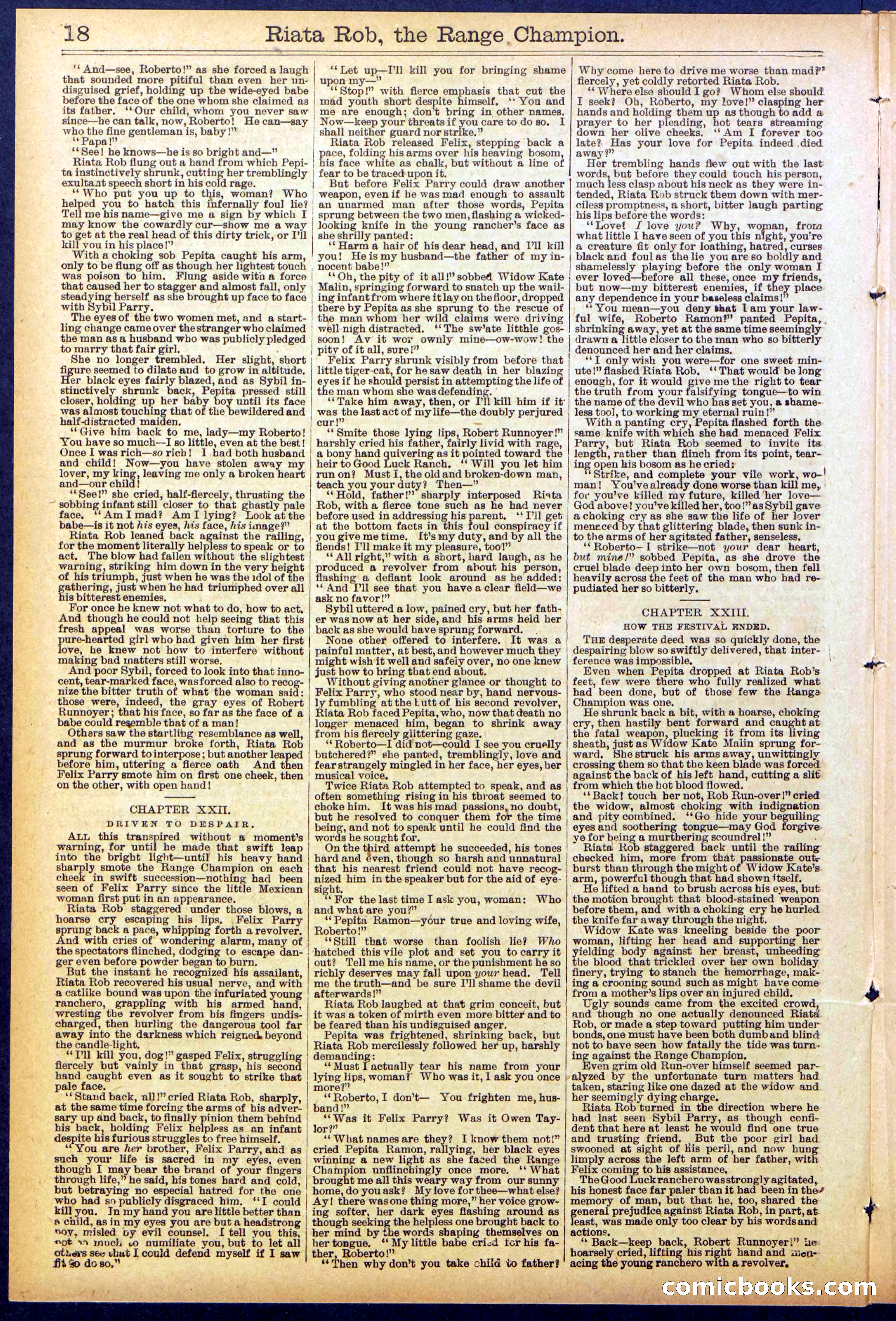 Beadle's New York Dime Library No. 862 — page 18 of 32