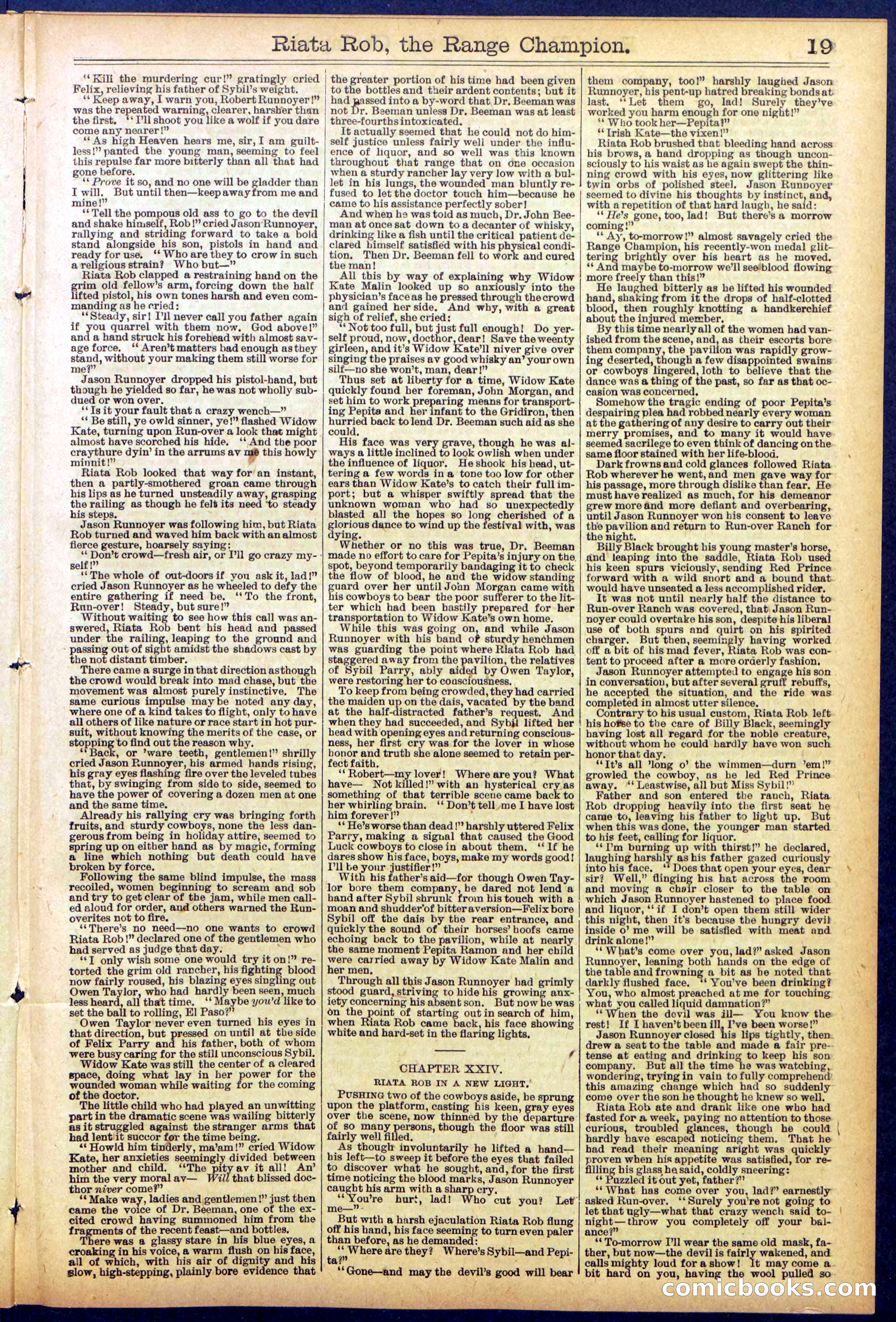 Beadle's New York Dime Library No. 862 — page 19 of 32