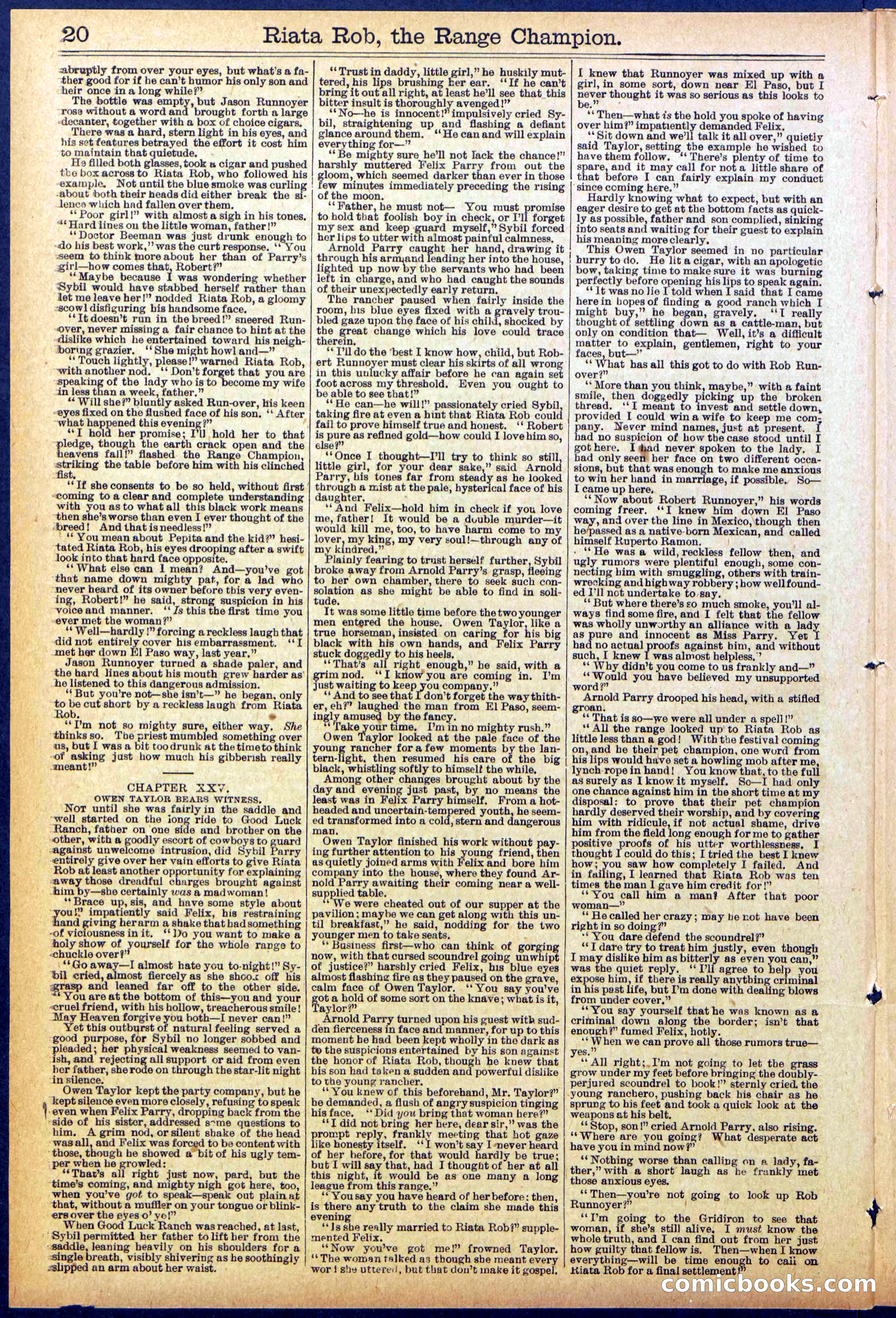 Beadle's New York Dime Library No. 862 — page 20 of 32