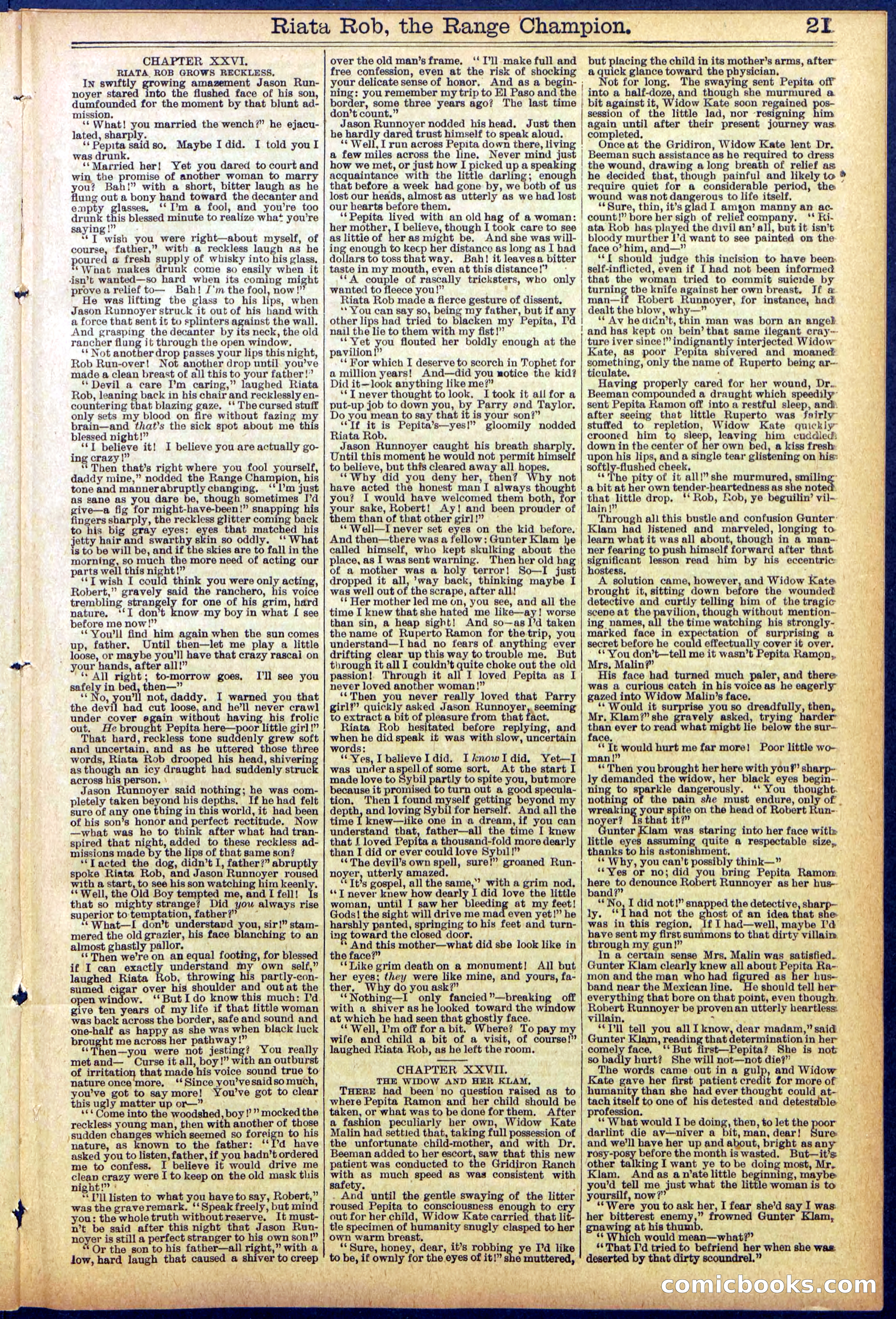 Beadle's New York Dime Library No. 862 — page 21 of 32