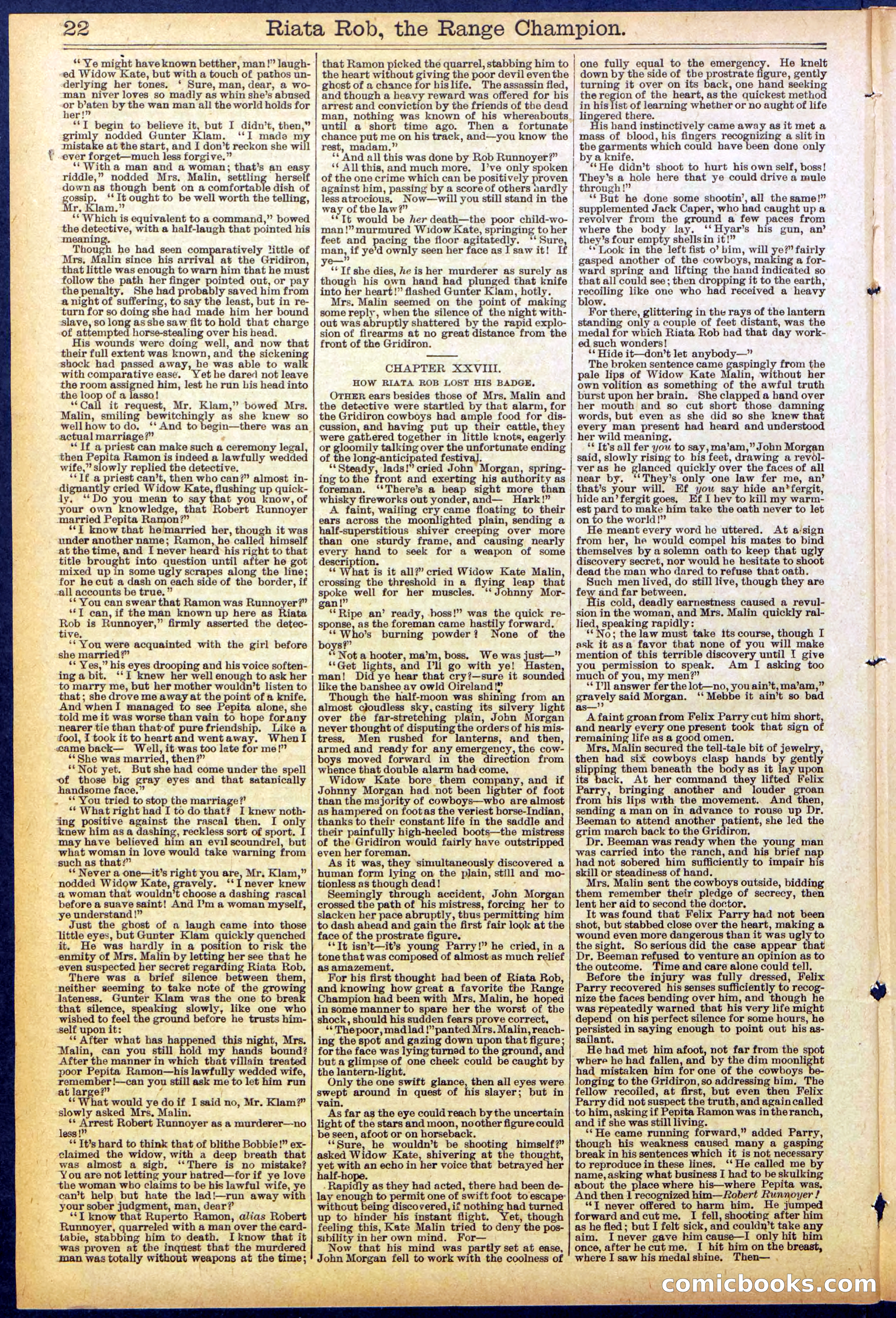 Beadle's New York Dime Library No. 862 — page 22 of 32